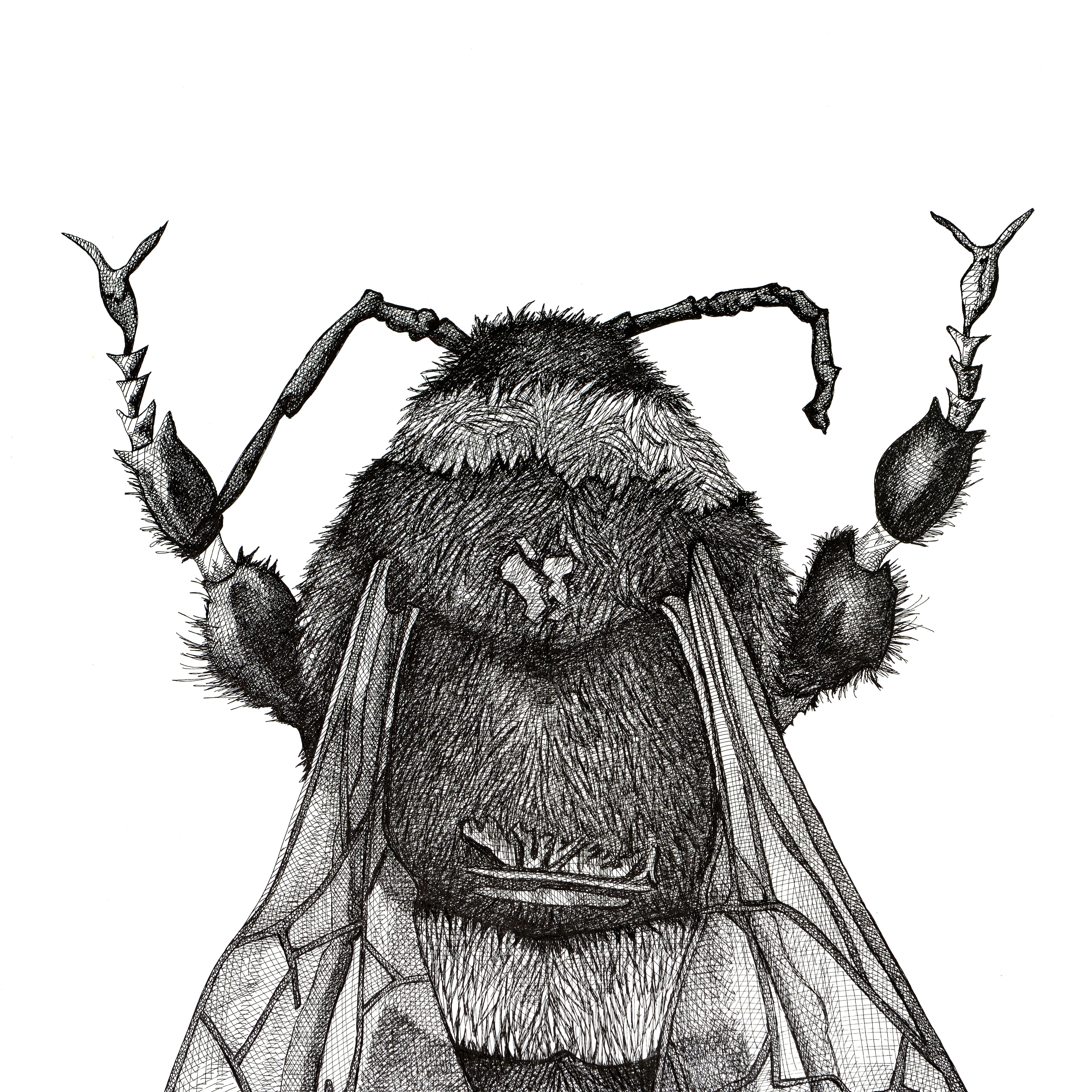 Abeja grande - Art de Arianna Fioratti Loreto