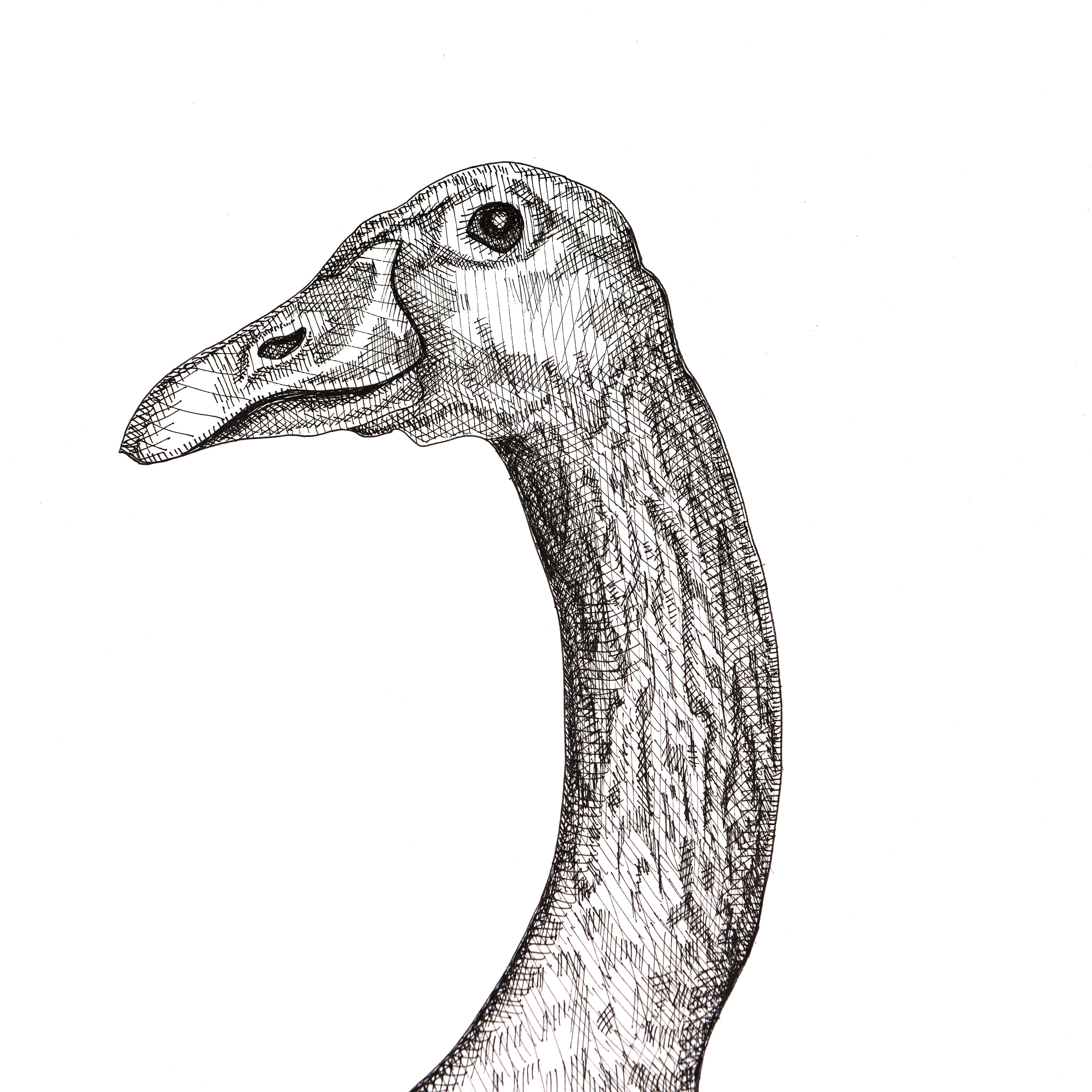 Goose - Art by Arianna Fioratti Loreto