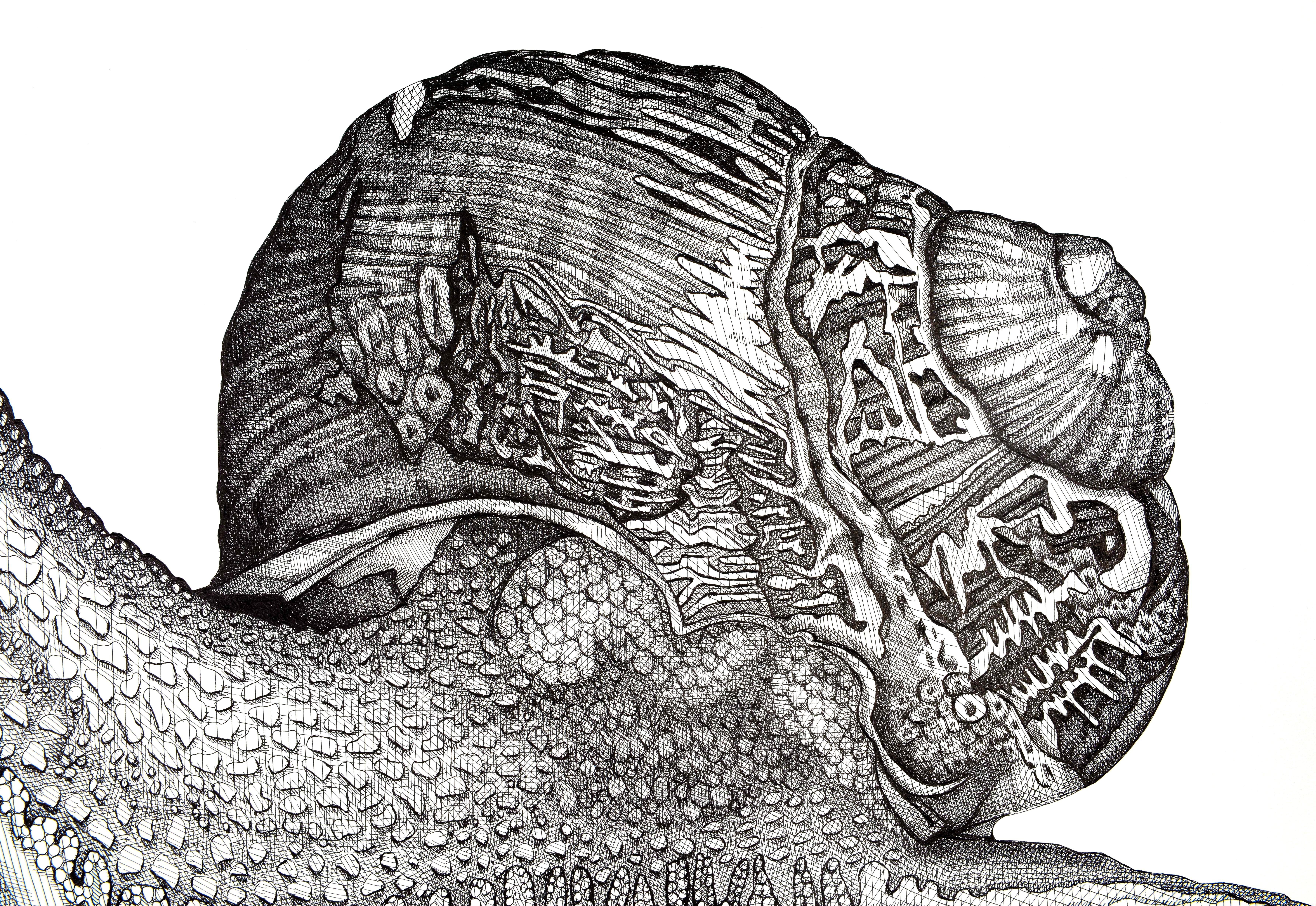 Caracol - Art de Arianna Fioratti Loreto