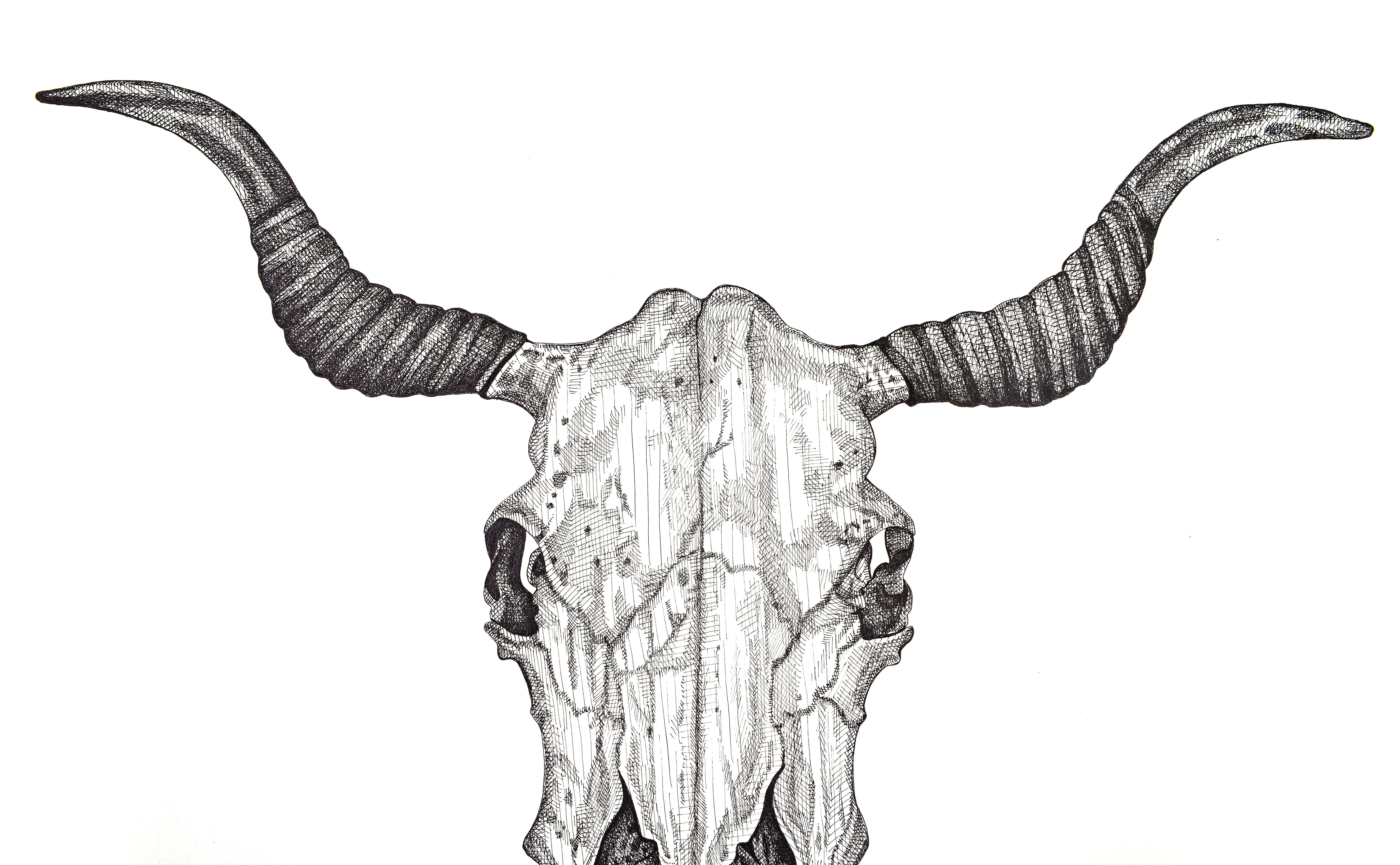 Langhorn-Schädel (Grau), Animal Art, von Arianna Fioratti Loreto