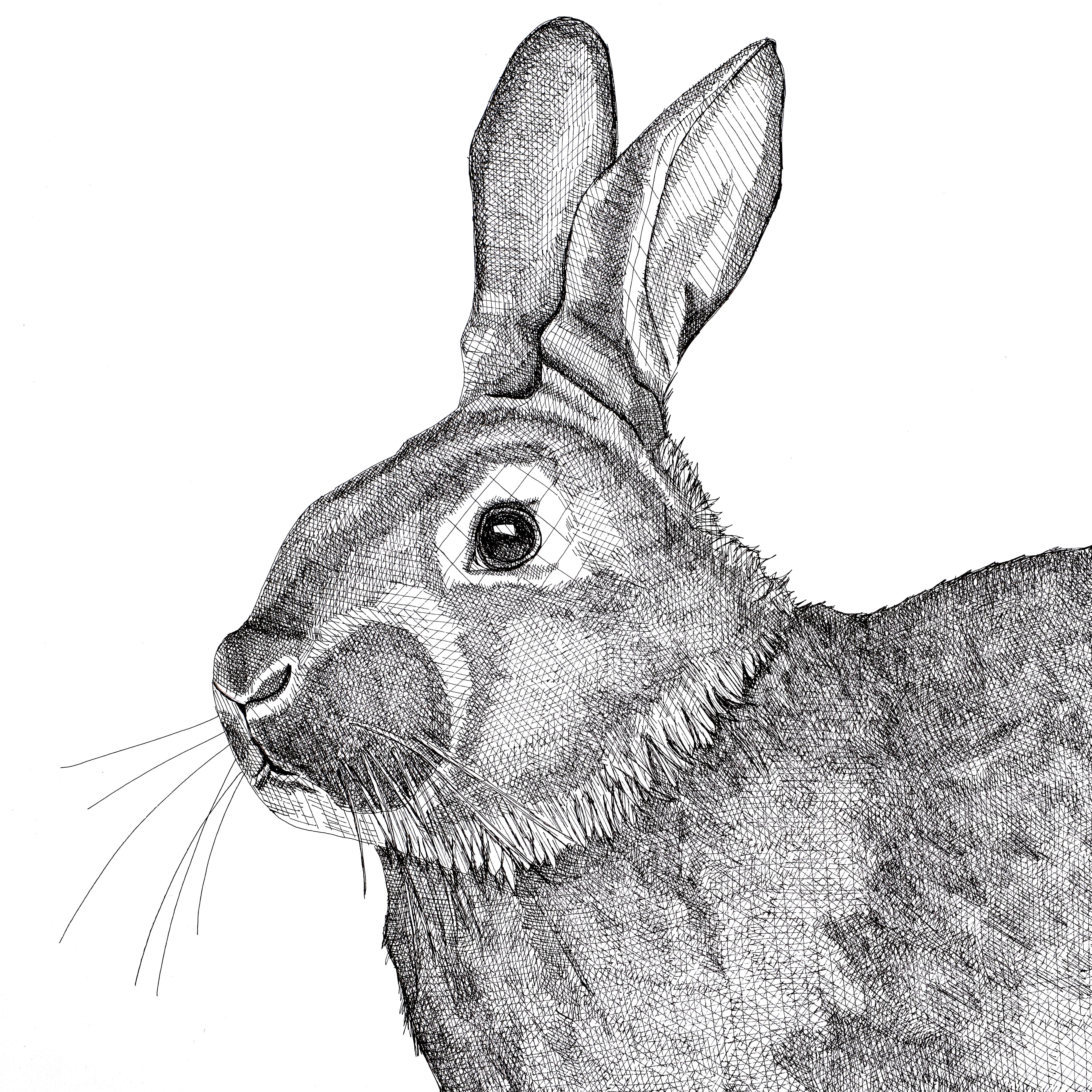 Bunny Kaninchen-Couchant – Art von Arianna Fioratti Loreto