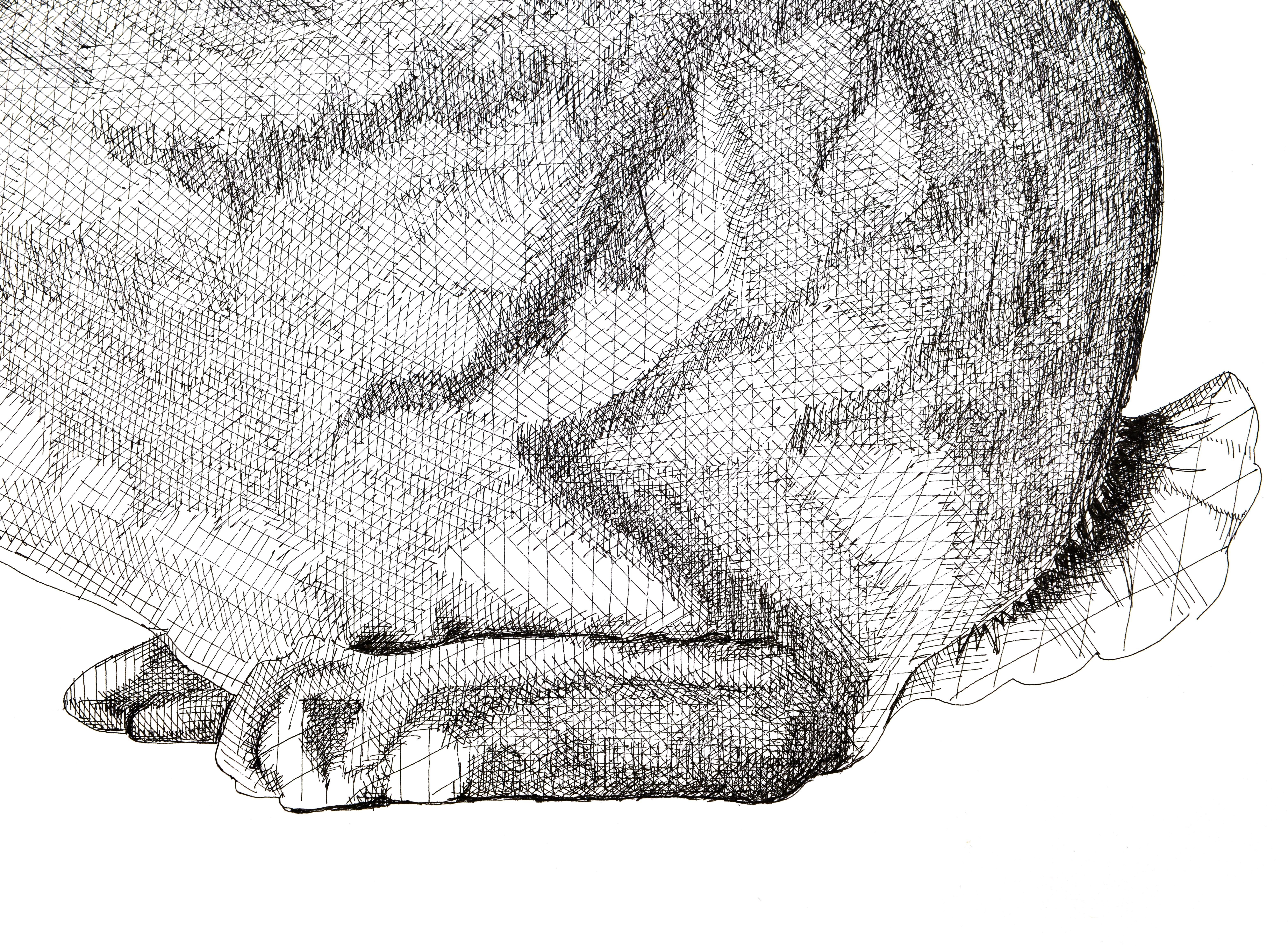 Bunny Kaninchen-Couchant (Grau), Animal Art, von Arianna Fioratti Loreto