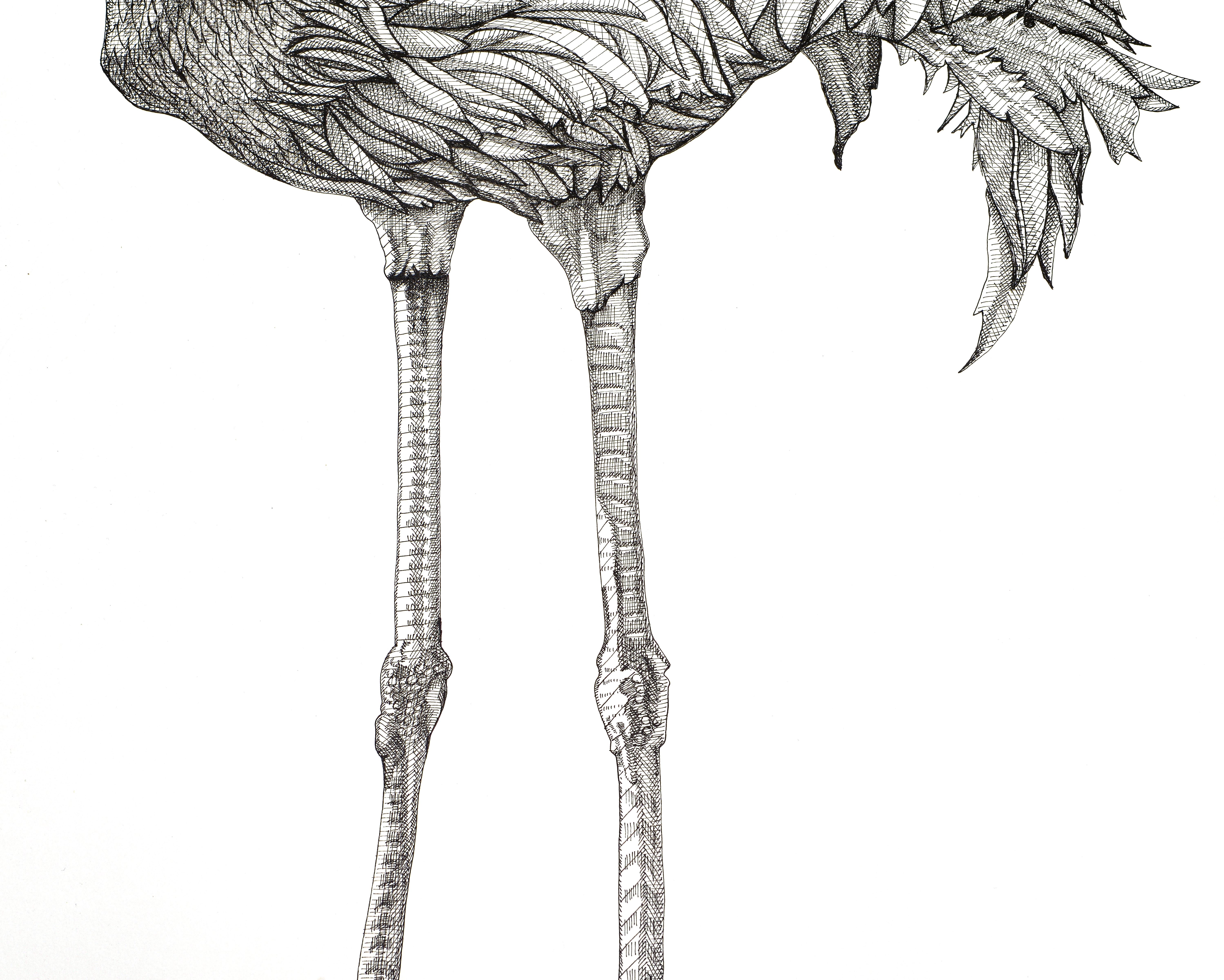 Flamingo (Grau), Animal Art, von Arianna Fioratti Loreto