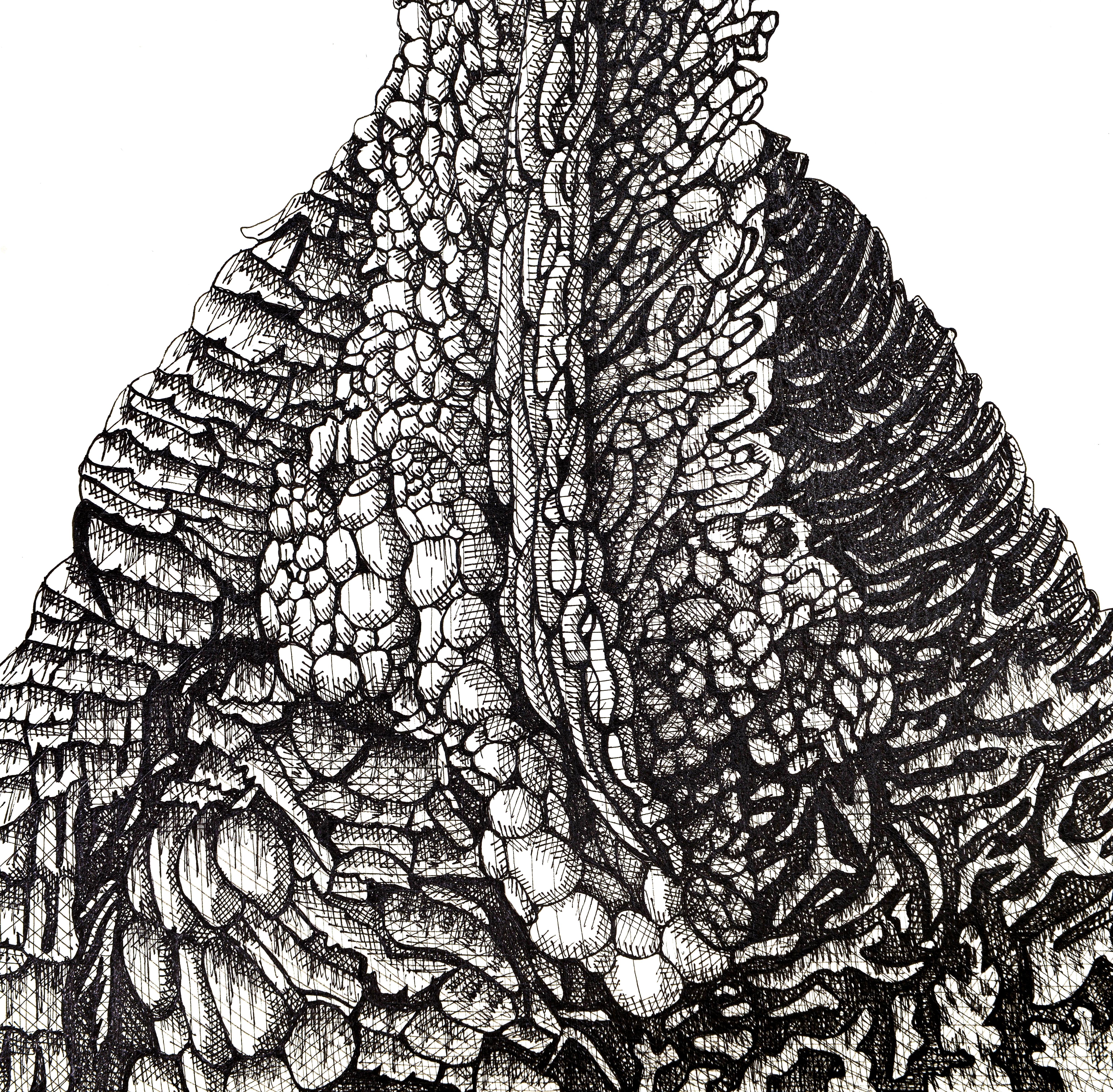 Turquía - Animal Art Negro de Arianna Fioratti Loreto