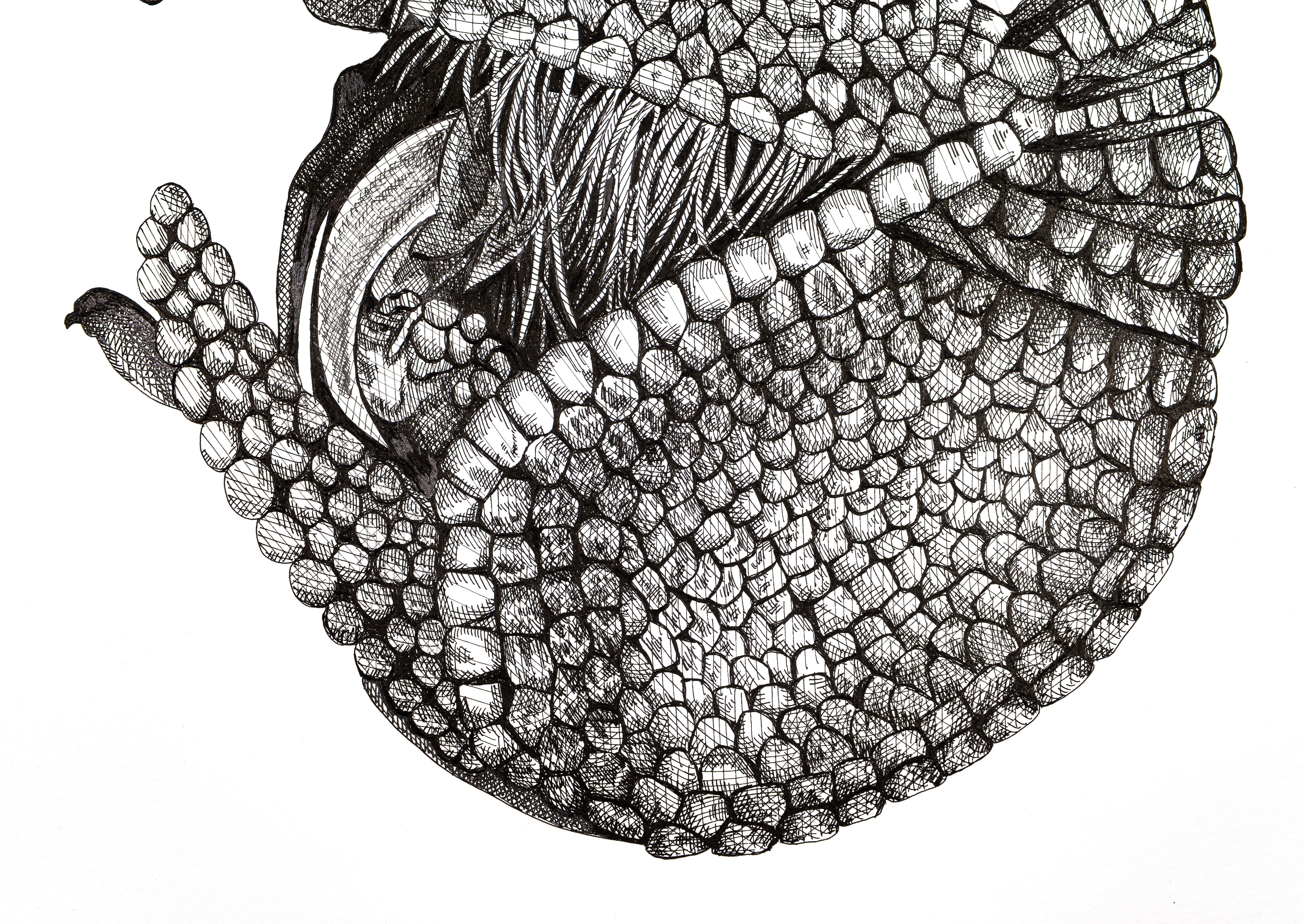 Gürteltier Ruhend (Grau), Animal Art, von Arianna Fioratti Loreto