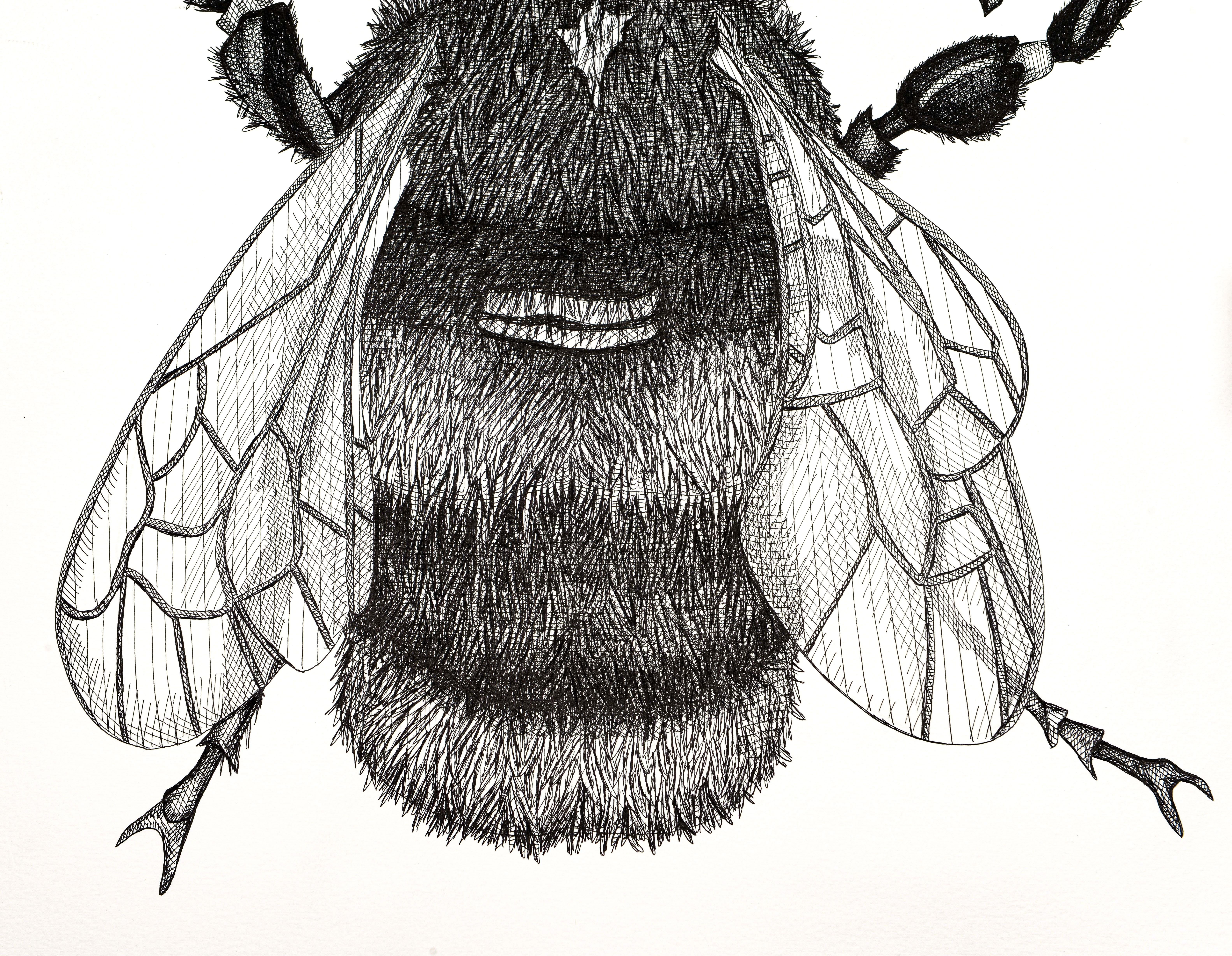 Bebé abejorro - Animal Art Negro de Arianna Fioratti Loreto