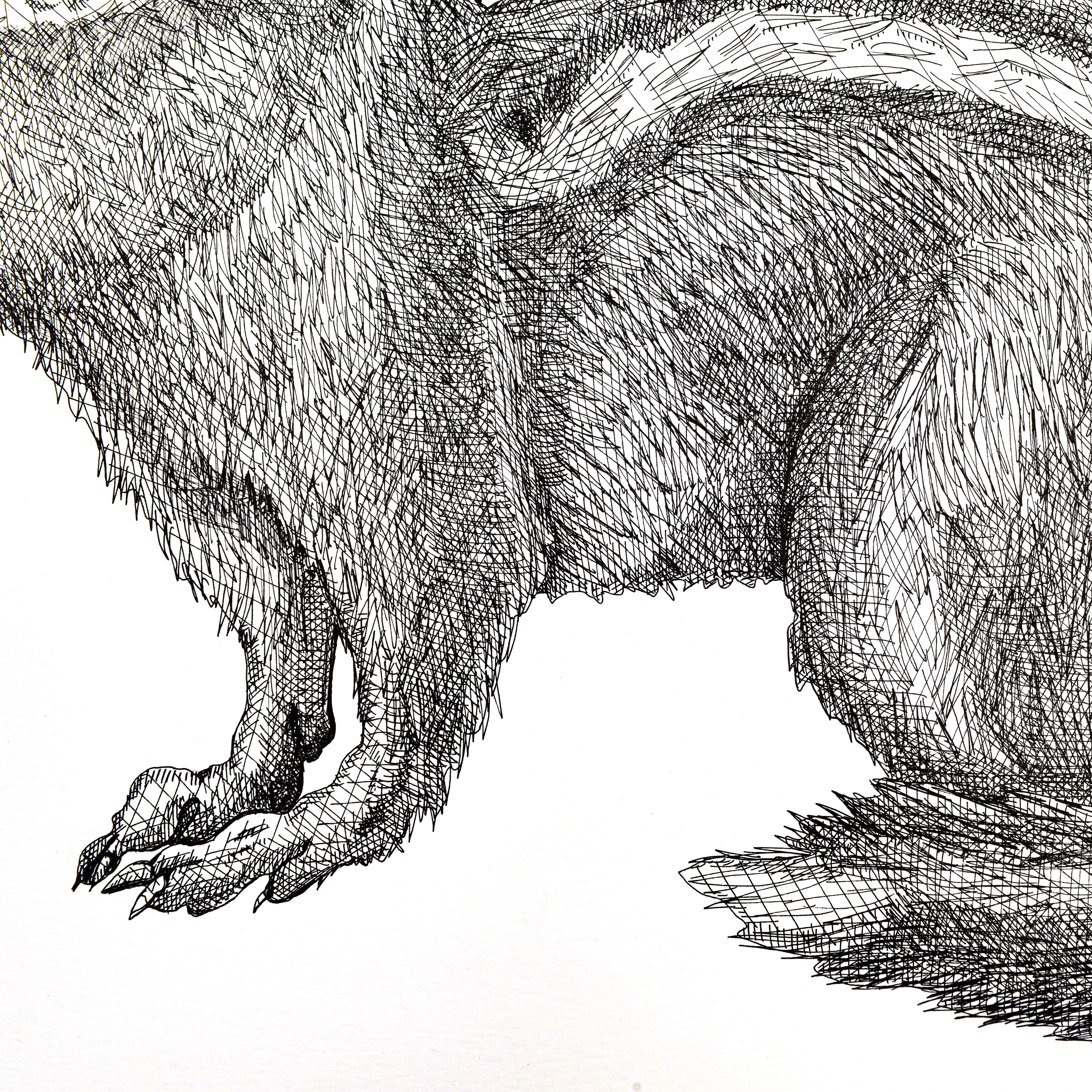 Streifenhörnchen (Grau), Animal Art, von Arianna Fioratti Loreto
