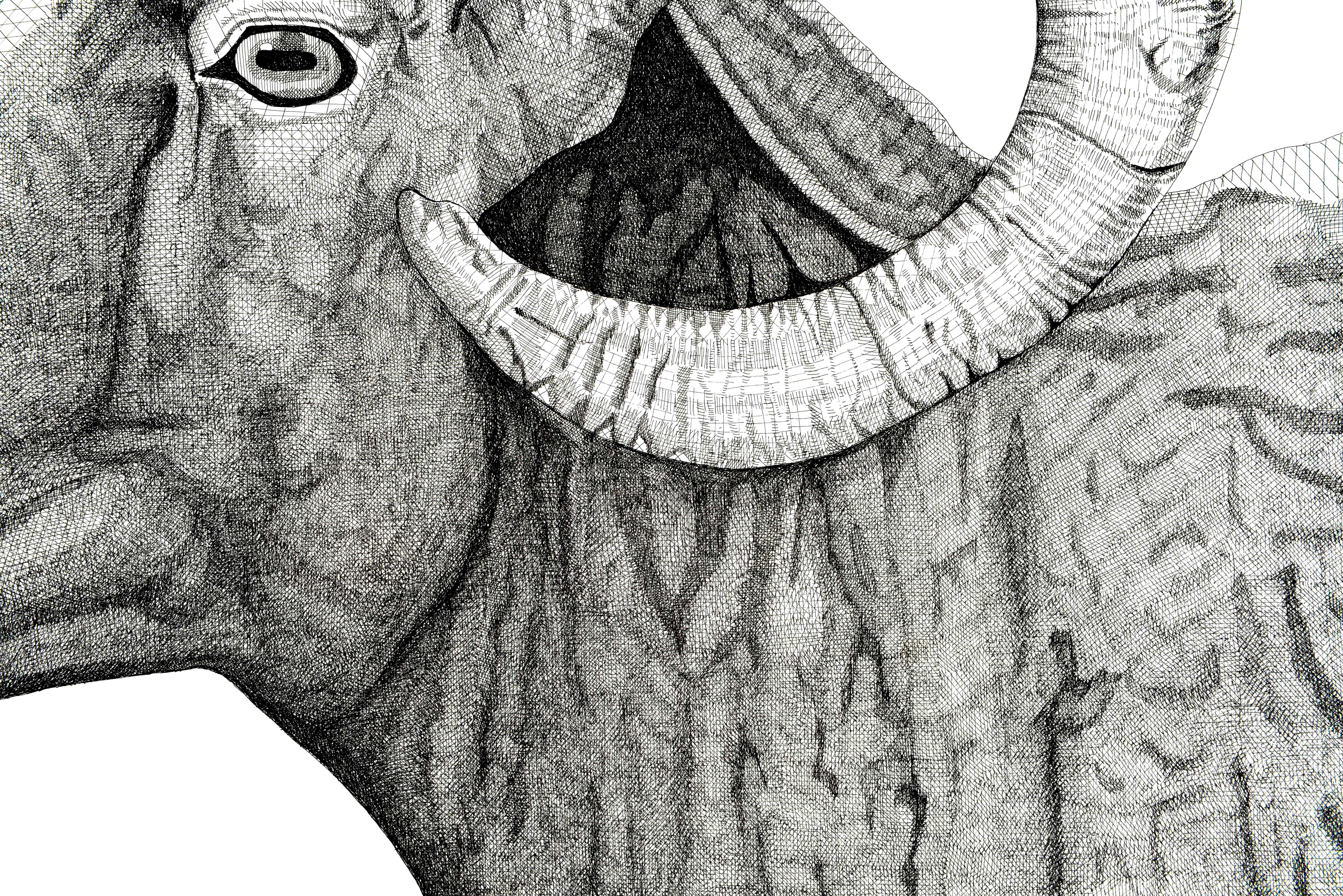 Dickhornschaf (Grau), Animal Art, von Arianna Fioratti Loreto