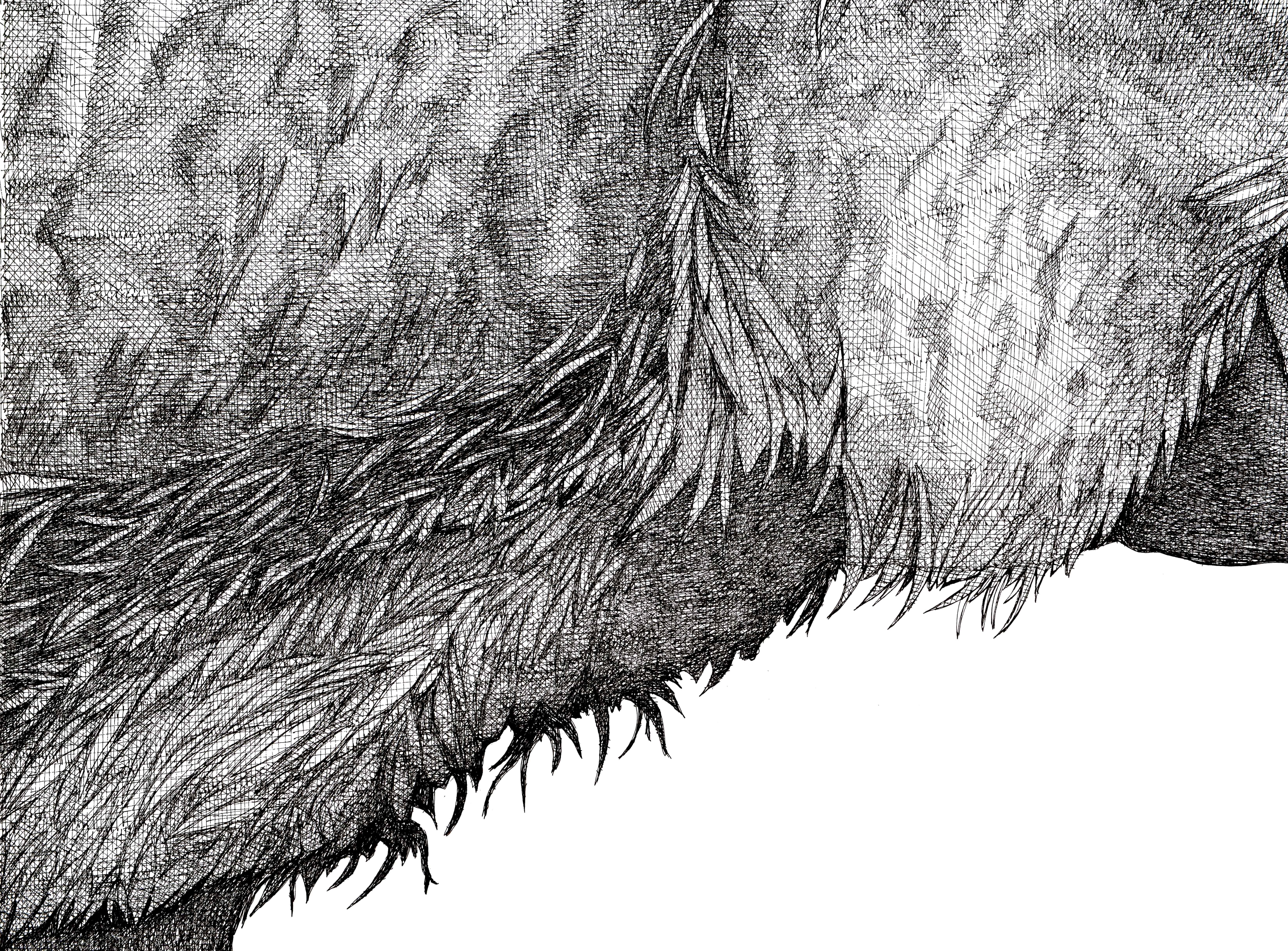 Wildfisch-Statant (Grau), Animal Art, von Arianna Fioratti Loreto