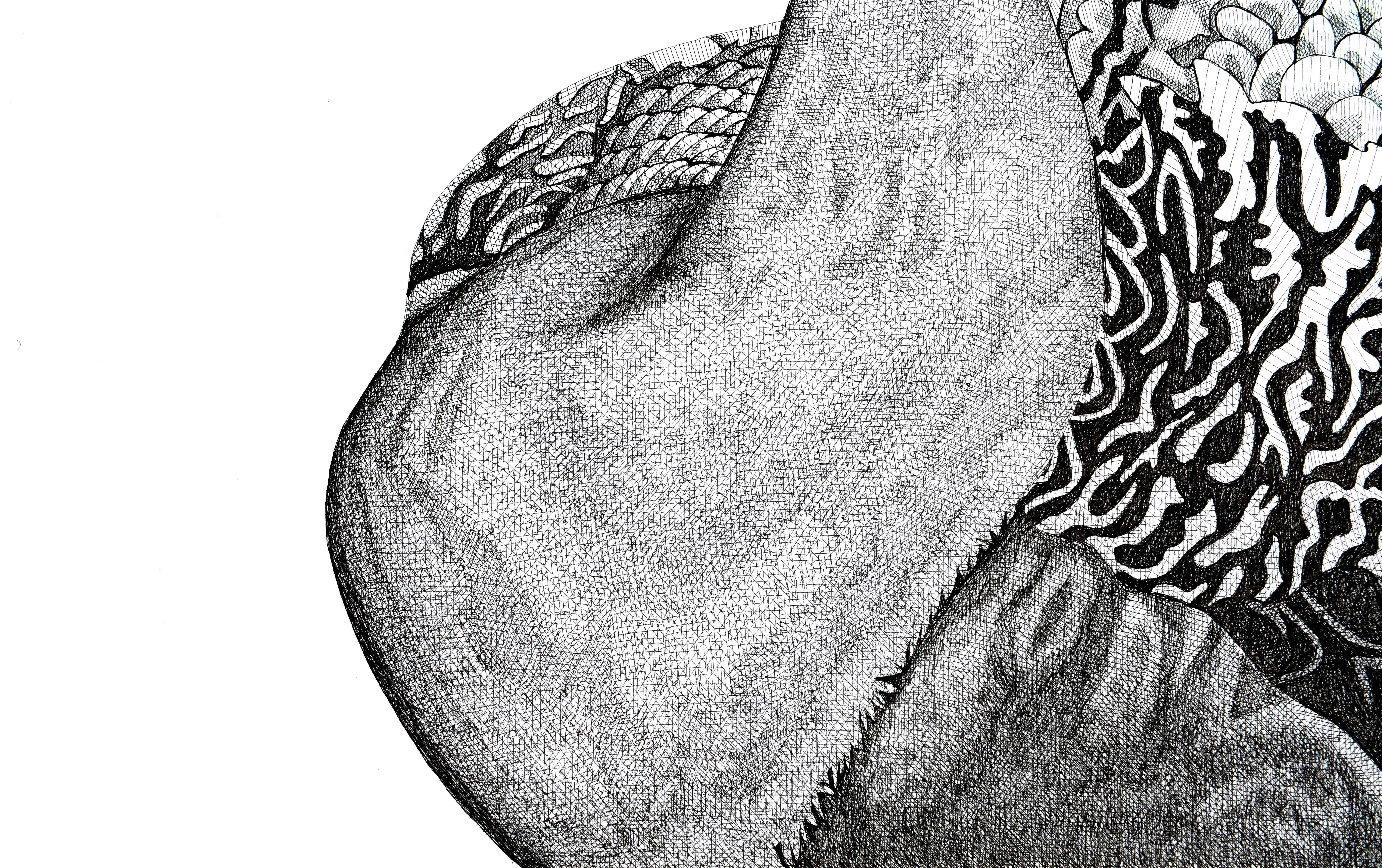 Paon - Gris Animal Art par Arianna Fioratti Loreto
