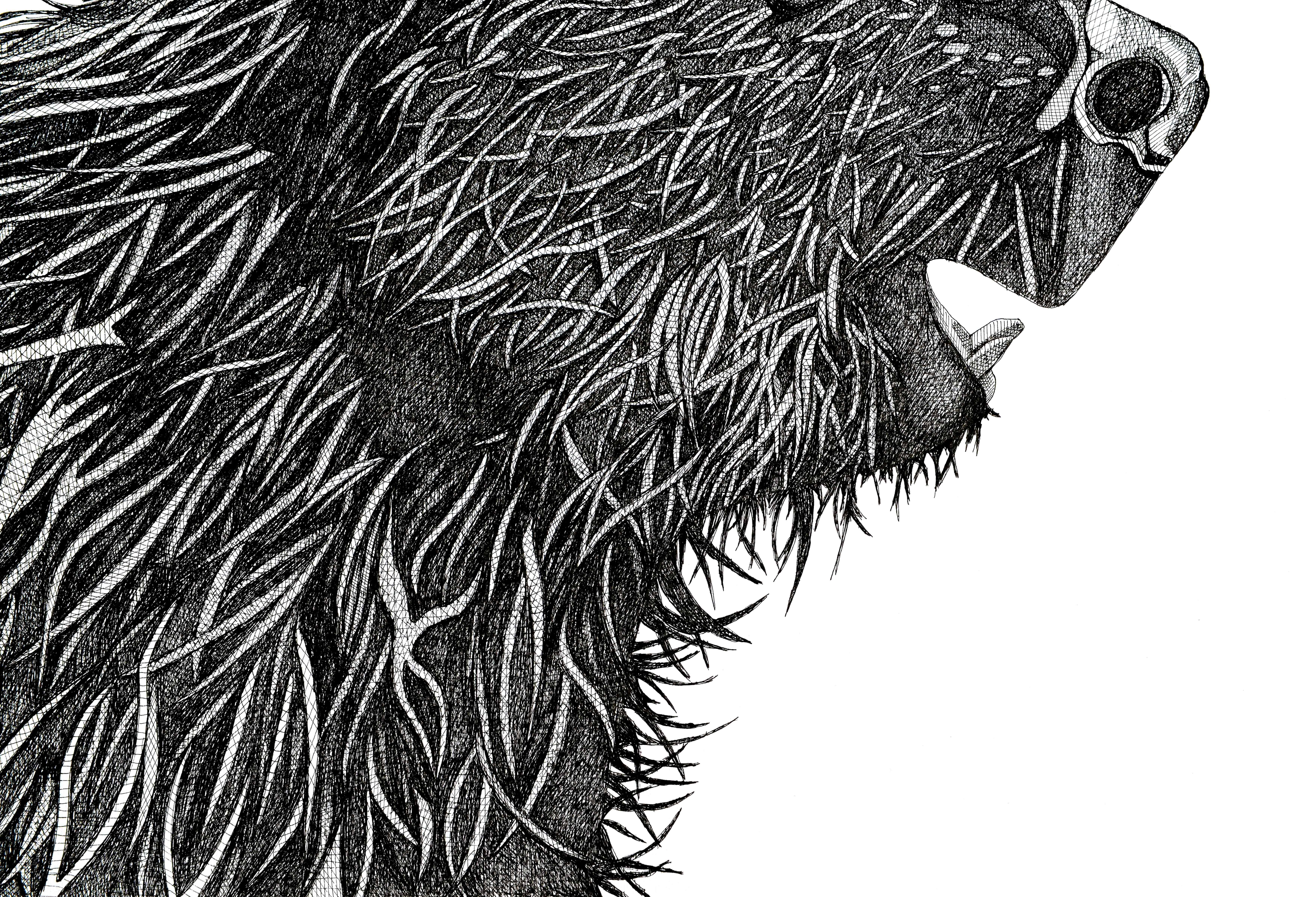 Biber – Art von Arianna Fioratti Loreto