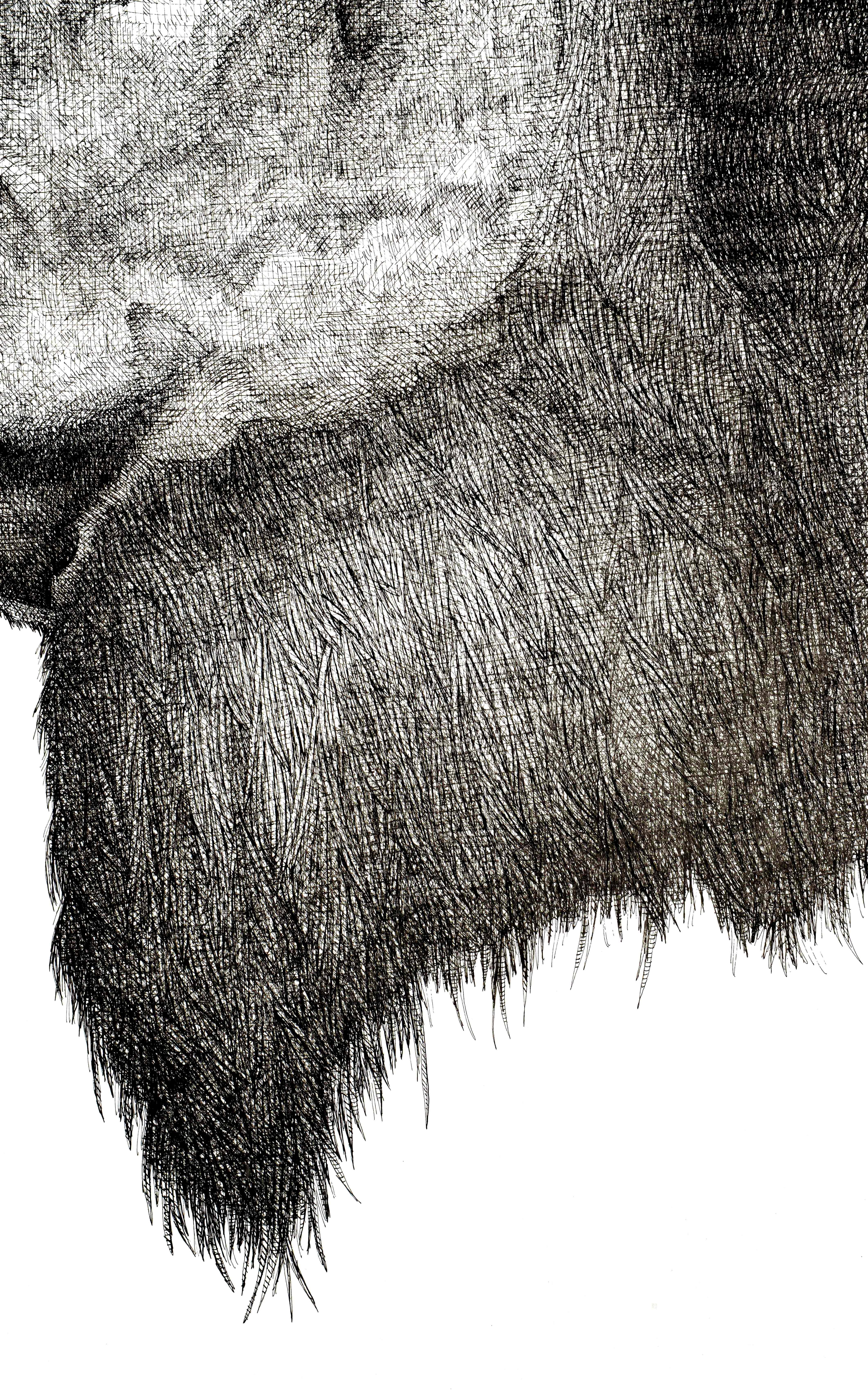 Bison (Grau), Animal Art, von Arianna Fioratti Loreto