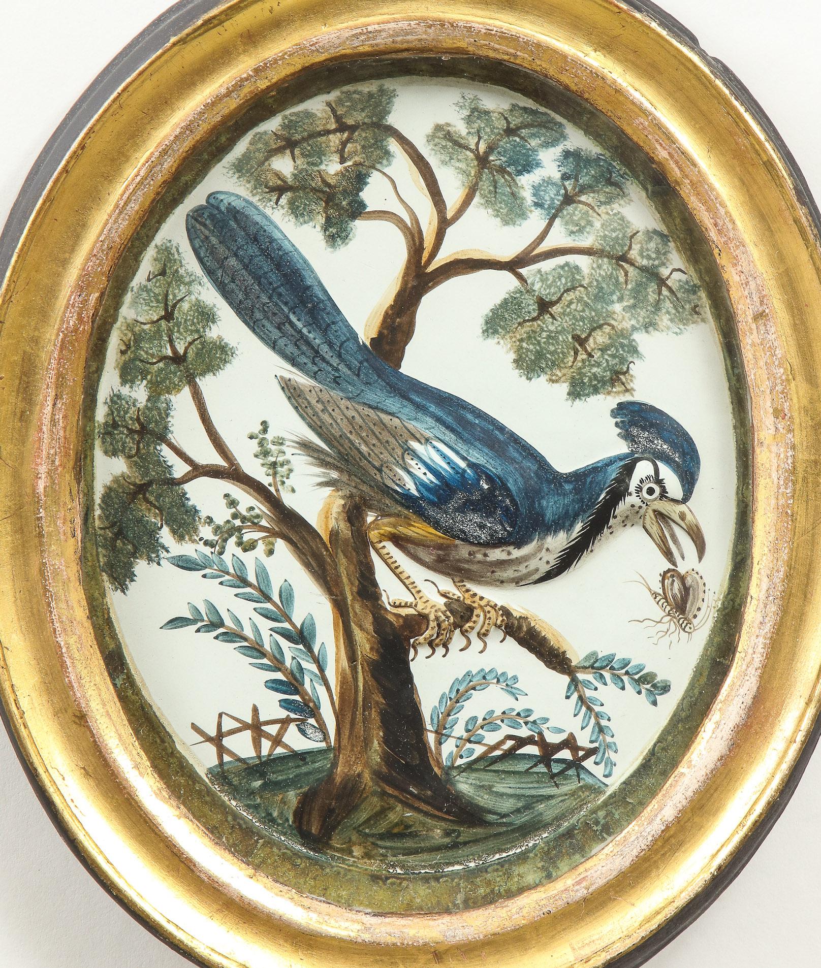 A George III Embossed Card Oval Picture of a Blue Jay - Art by Unknown