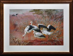 White Storks. Large European African Asian Bird.Victorian Watercolor Ornithology