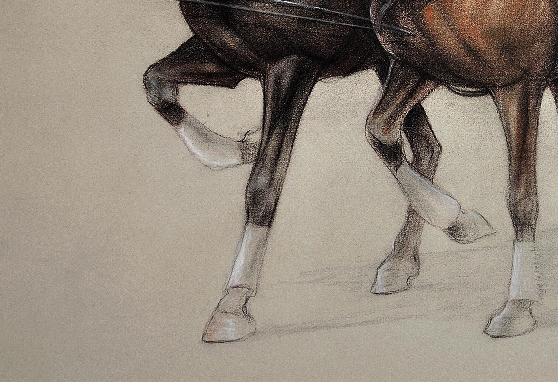 Trotting Horses Harnessed to a Lightweight Fly. Cecil Aldin. Original Drawing. For Sale 9
