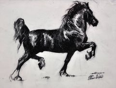Black Welsh Cob Wales Native Heritage Horse Breed Framed Original Drawing