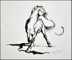 Stallone gallese sezione A, razza equina autoctona del Galles Disegno originale