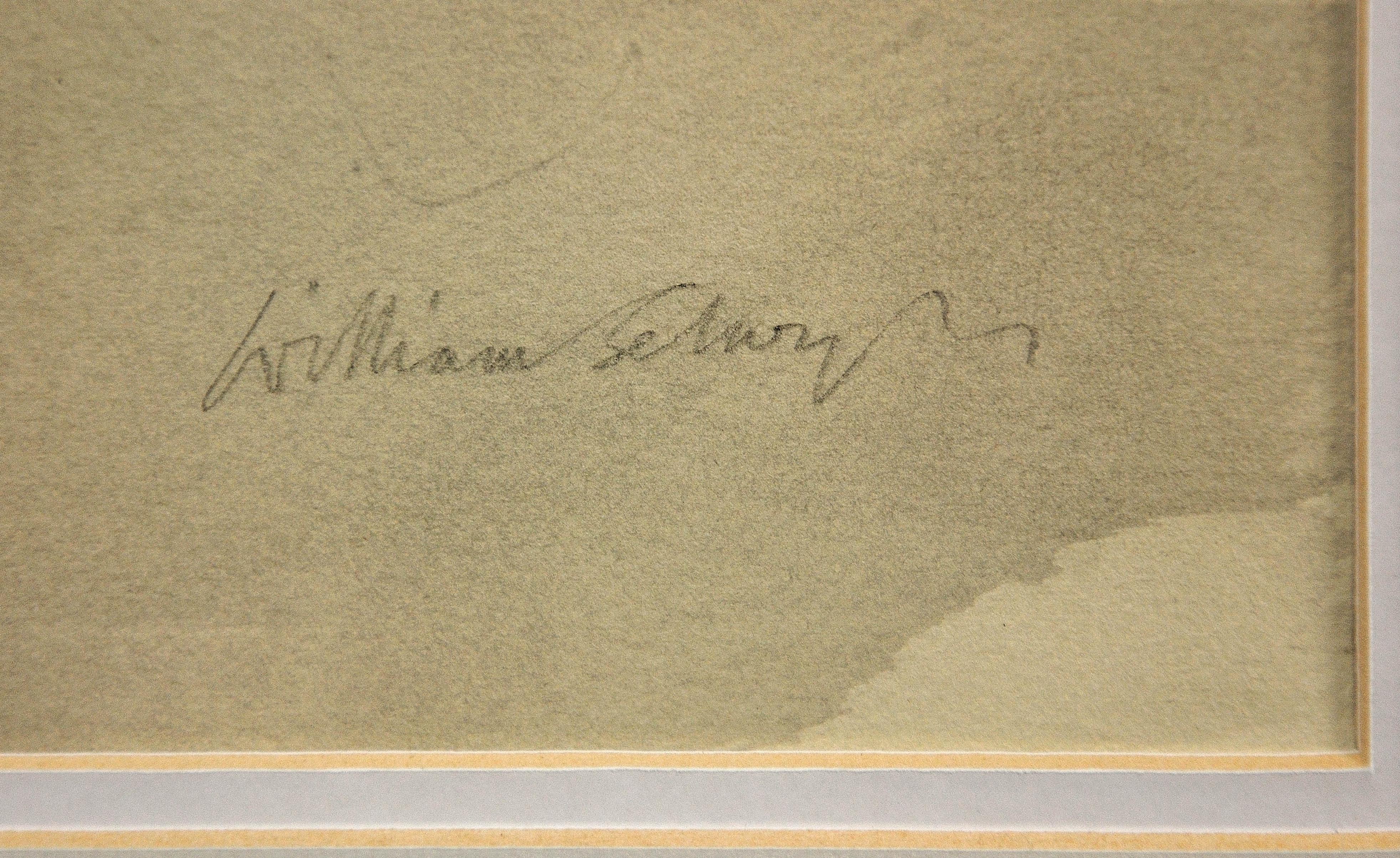 william selwyn original art