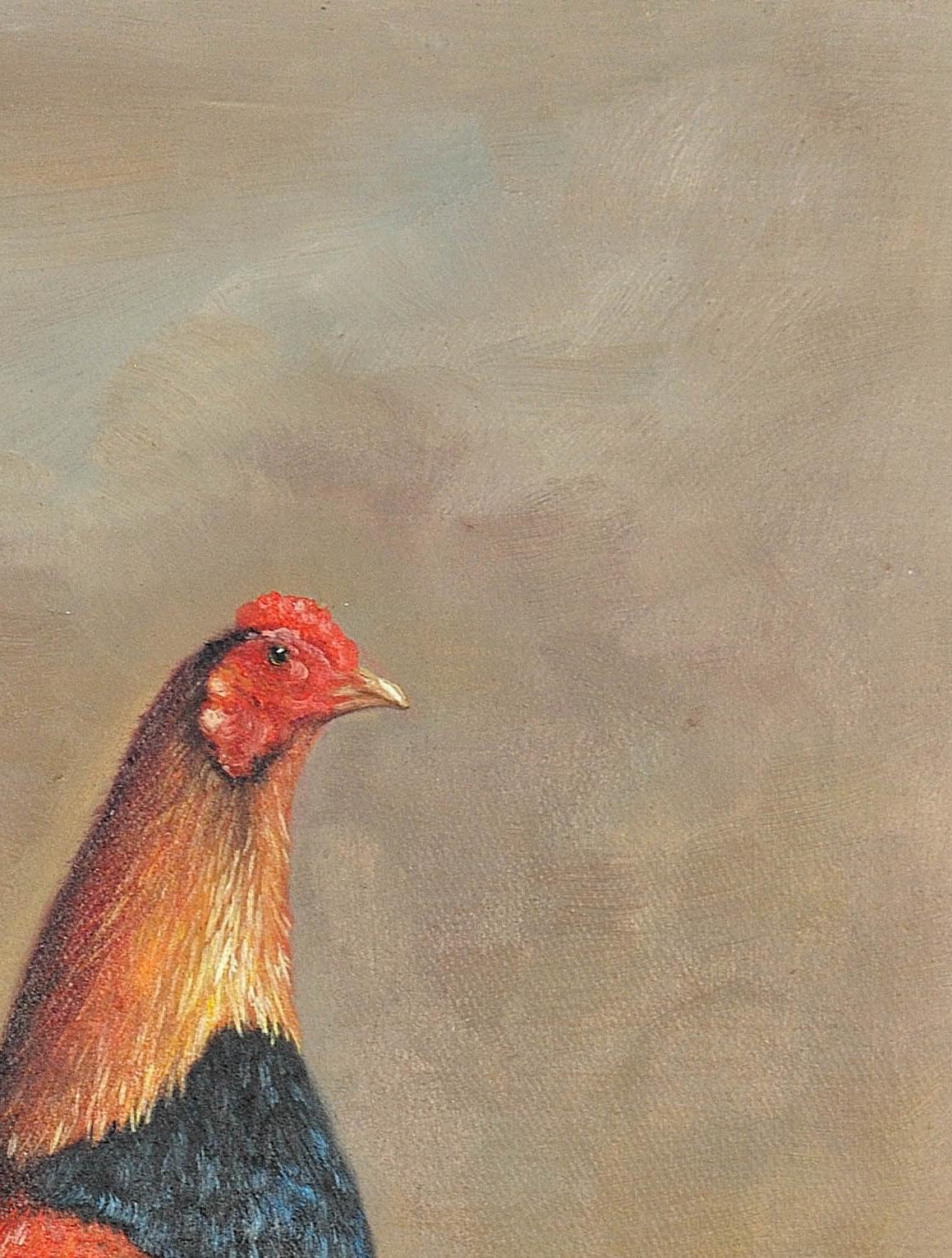 Modern Fighting Game Cock.19th Century Oil on Canvas.Rooster.Cockerel.Victorian  10