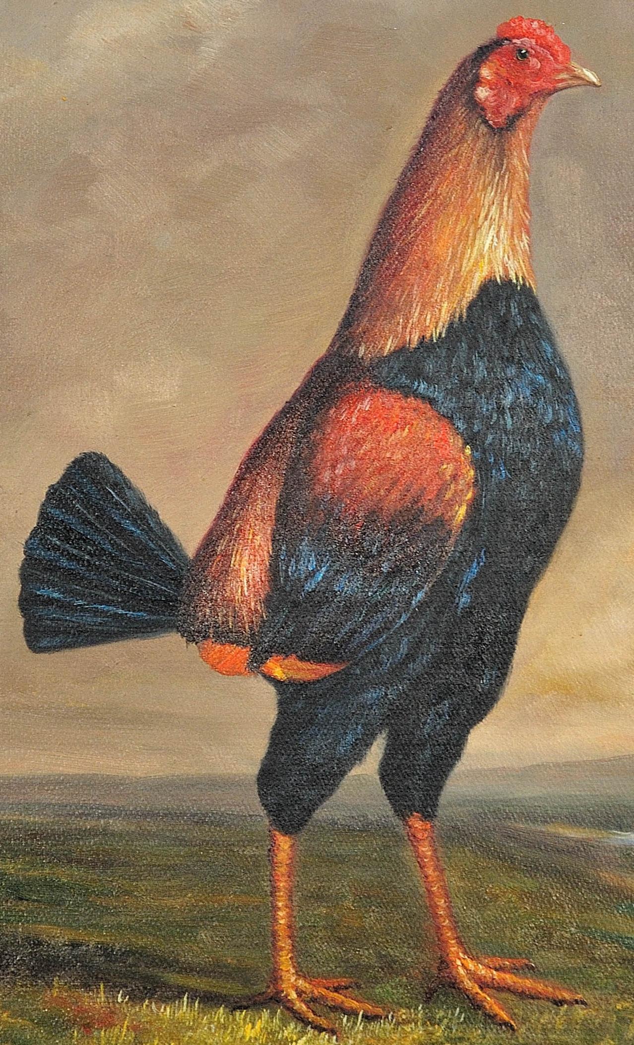 Modern Fighting Game Cock.19th Century Oil on Canvas.Rooster.Cockerel.Victorian  13