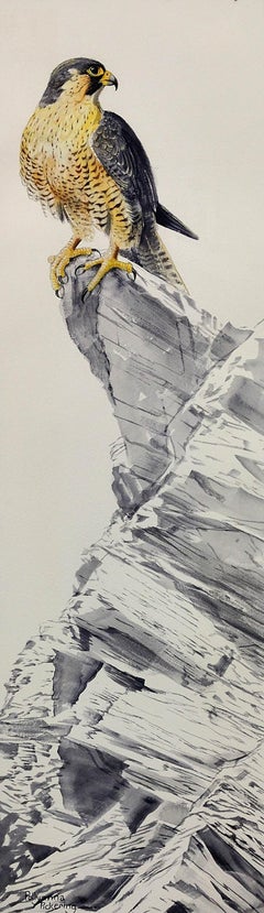 Gray Phase Gyrfalcon. Bird of Prey. Long Rectangular Portrait. Grey Plumage.