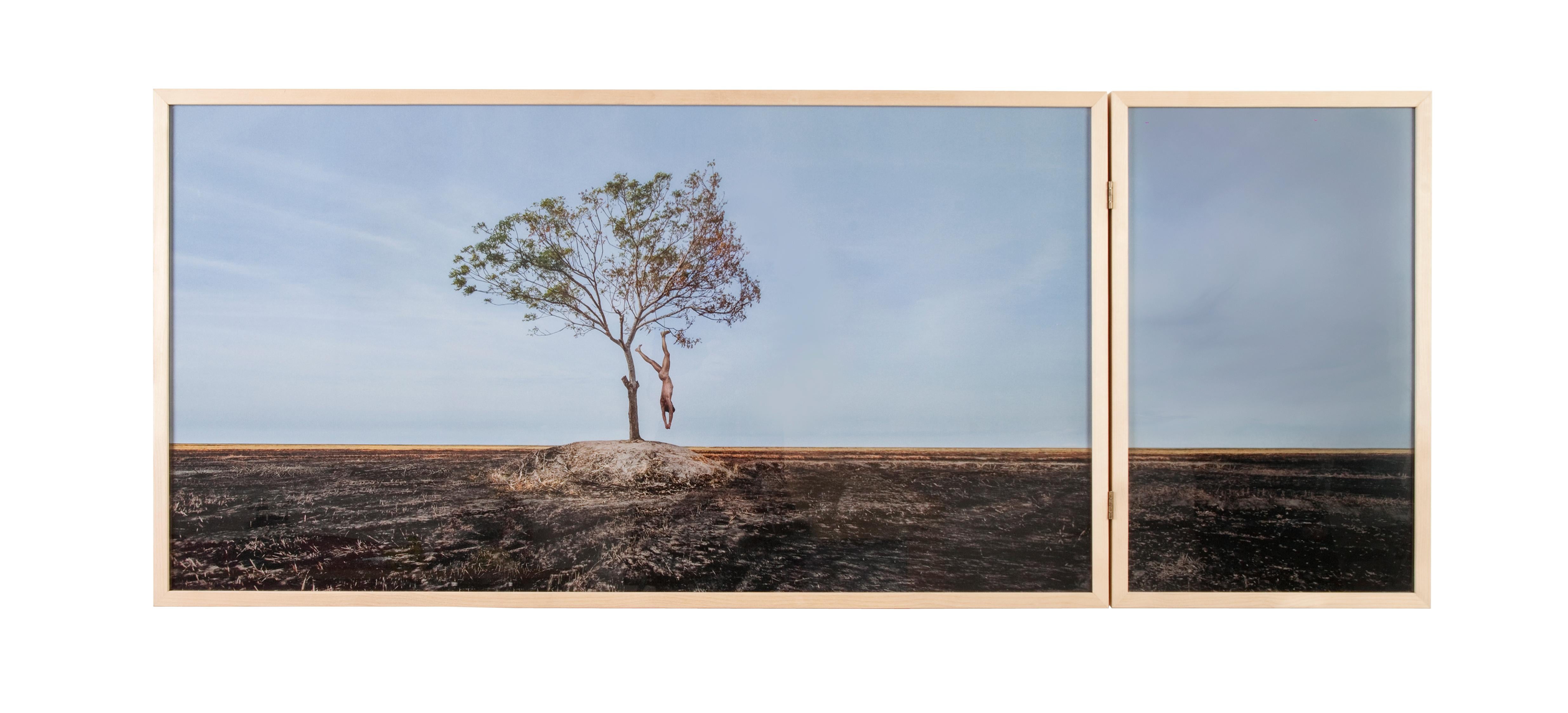 Fyodor Pavlov-Andreevich Color Photograph - 'Temporary Monument #4: O Enforcado' -  landscape, palm tree, human figure