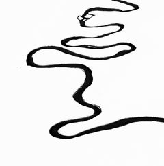 Waterline XII- black and white aerial landscape photograph 26 x 40 inches