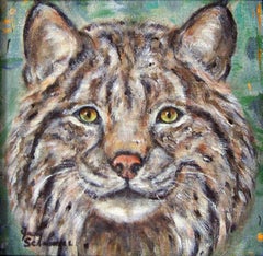 Bobcat aus Kaskaden