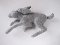 Gray Angora Rabbit