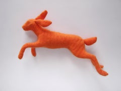 Orange Angora Rabbit