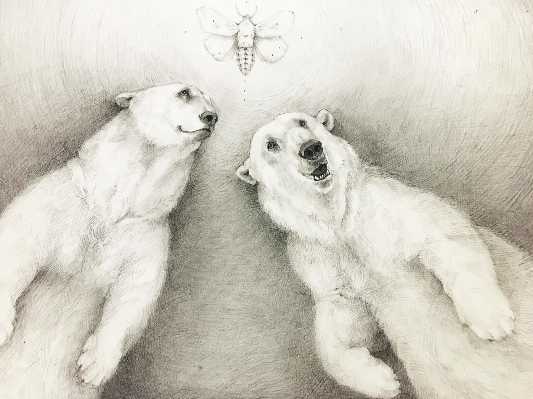 Polar Bears and Moth - Art by Adonna Khare