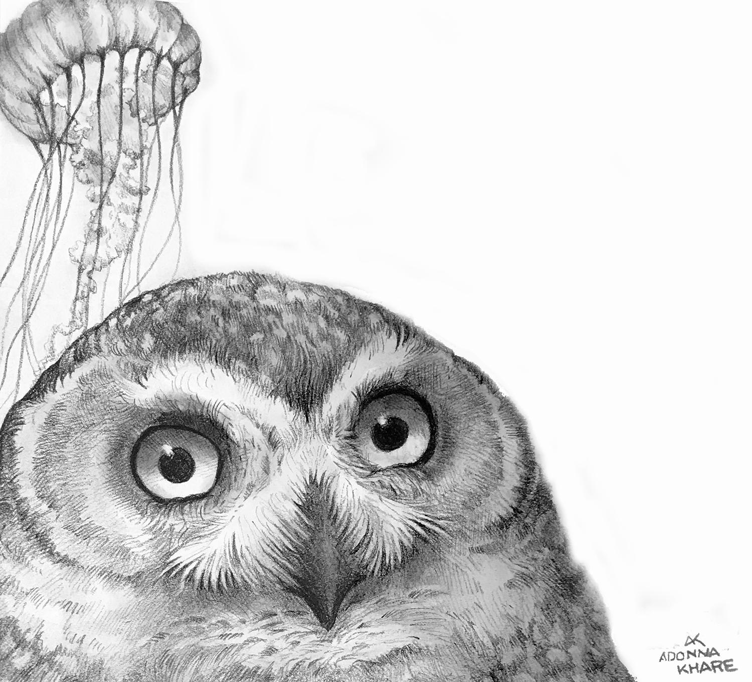 Adonna Khare Animal Art - Little Owl