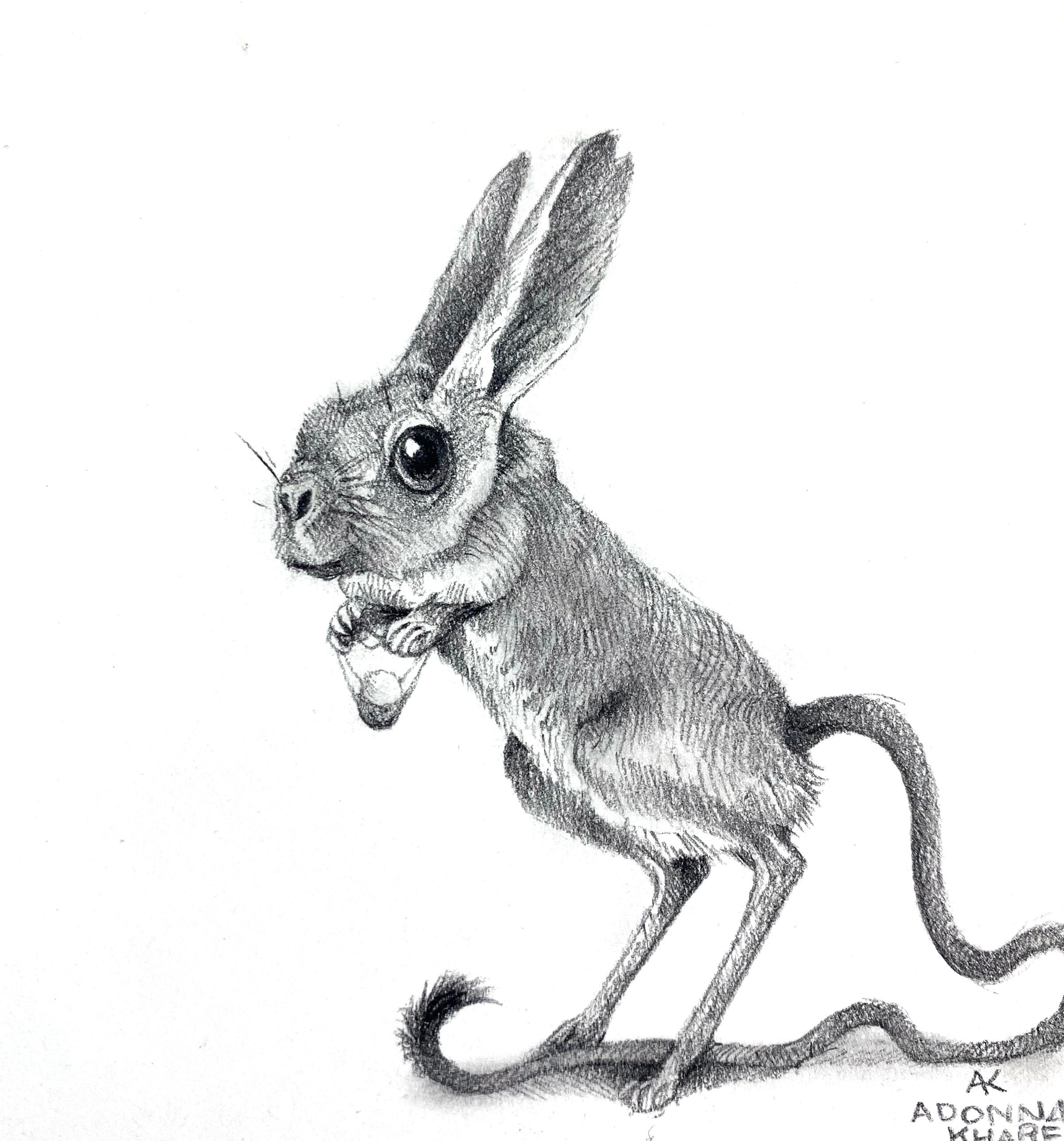 Adonna Khare Animal Art - Kangaroo Mouse