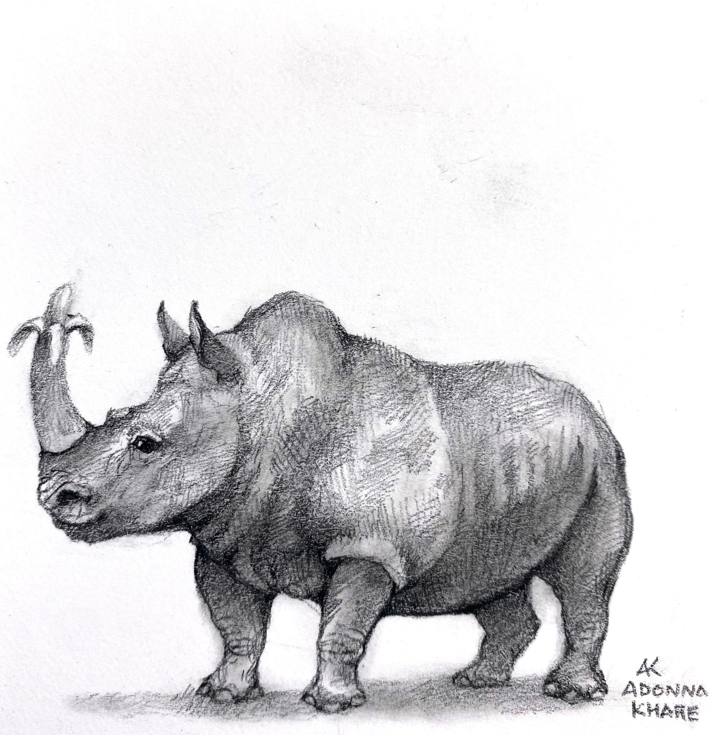 Adonna Khare Animal Art - Rhino with Banana Tusk