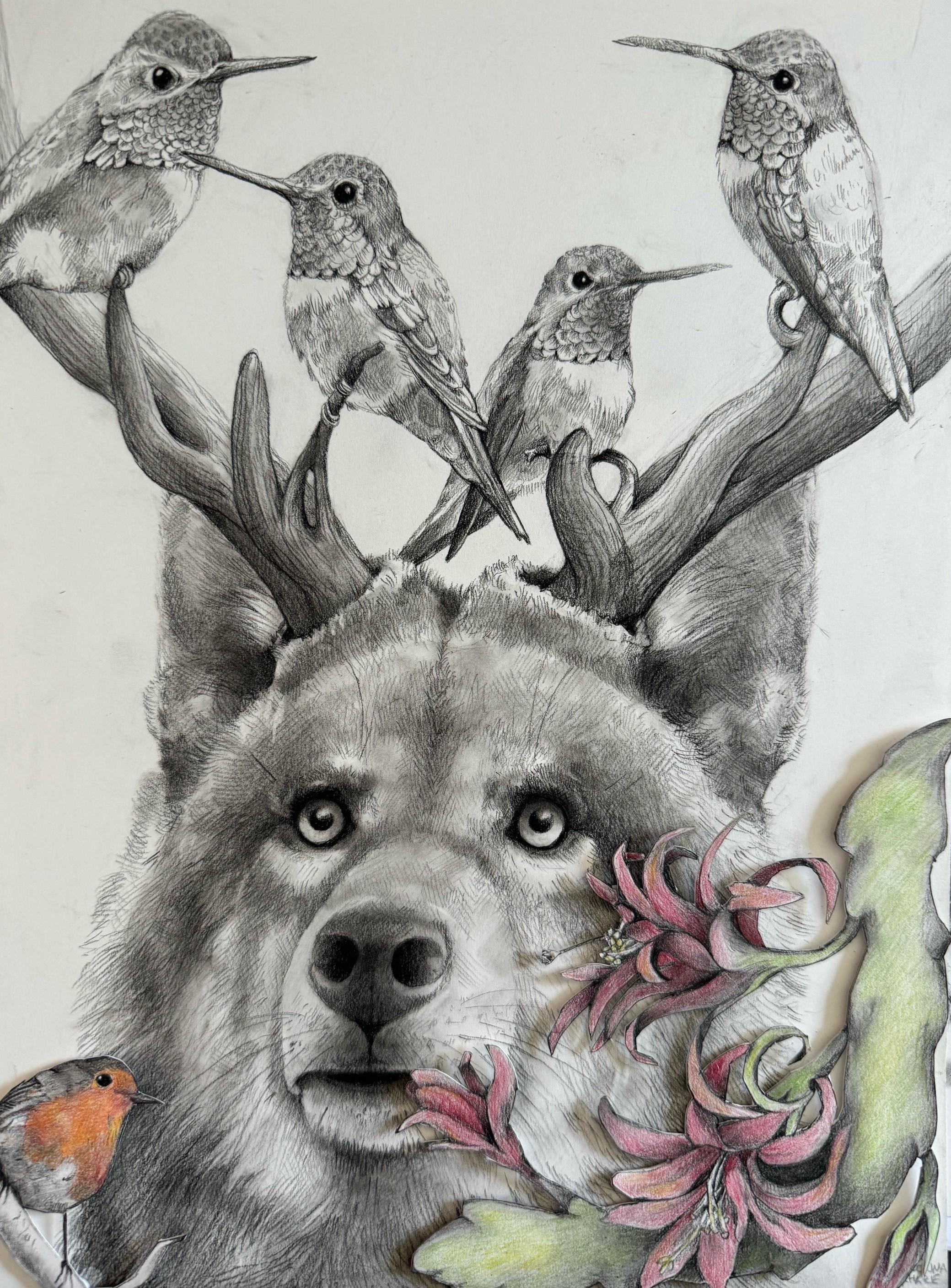 Loup avec colibris