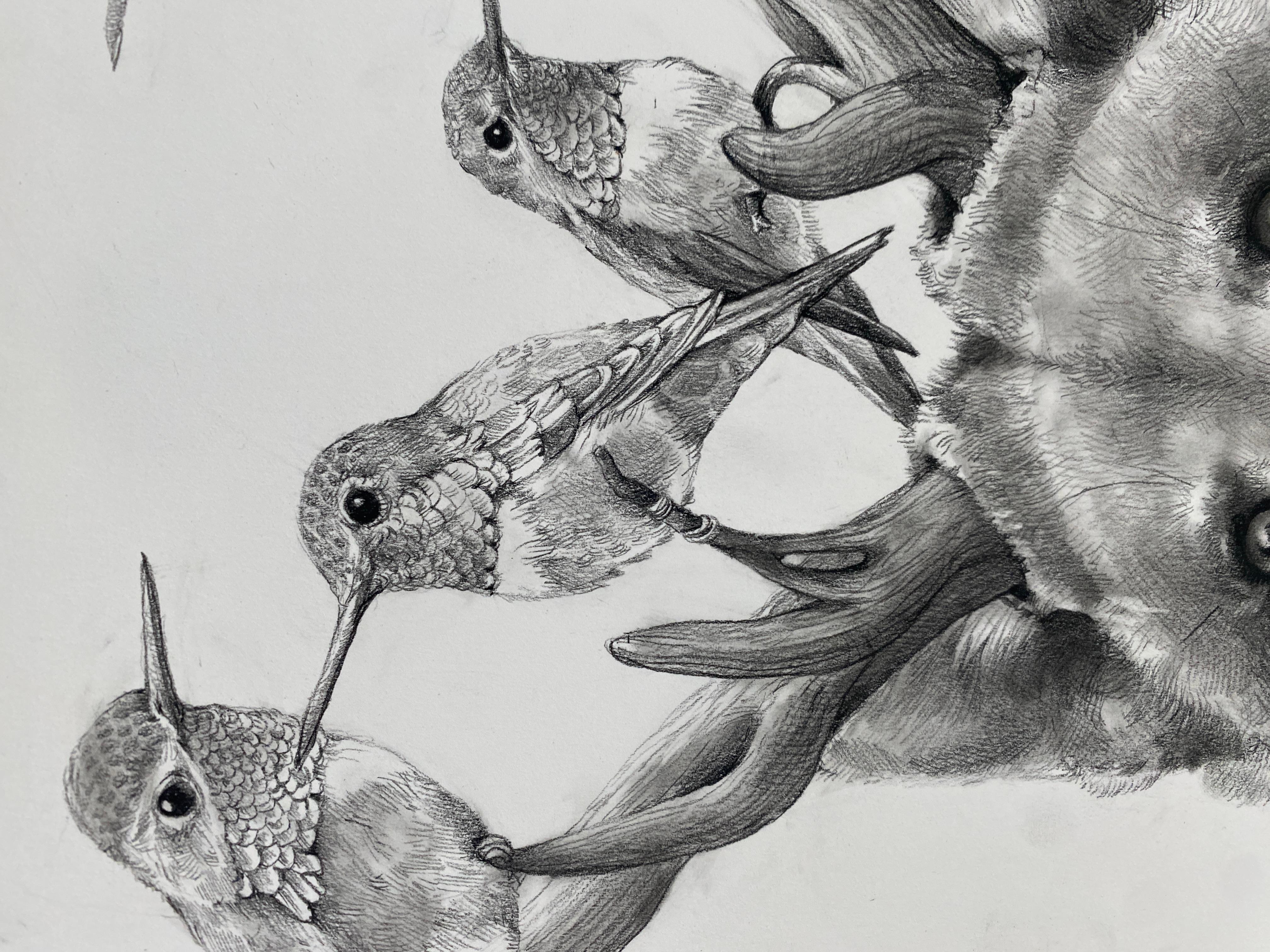 Adonna Khare es una maestra estadounidense del lápiz de carbono. Su estilo se ha comparado con las ilustraciones fotorrealistas de Audubon, pero los mundos surrealistas y los extraños habitantes que crea sólo pueden surgir de su imaginación. Las