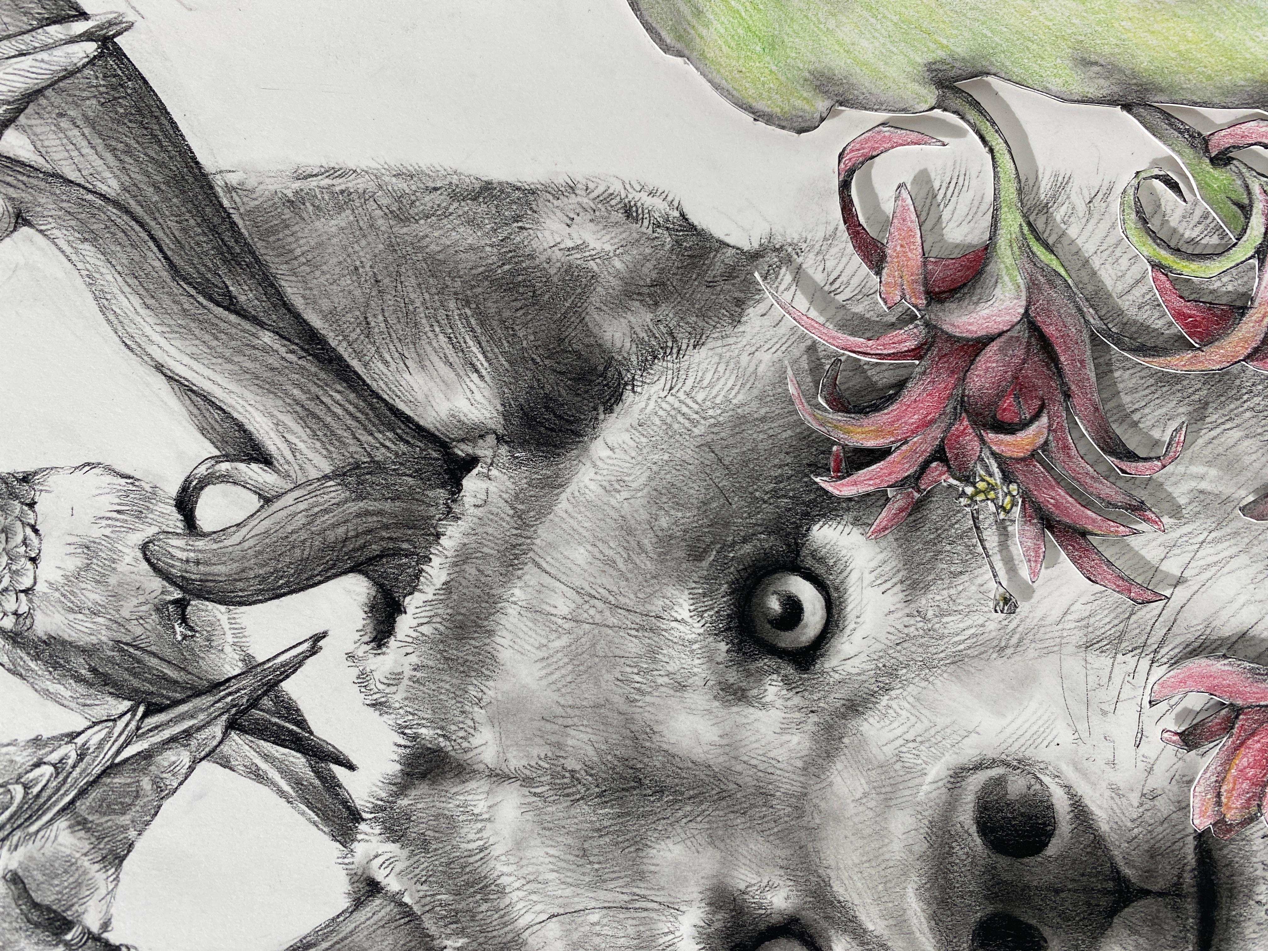 Lobo con colibríes en venta 1