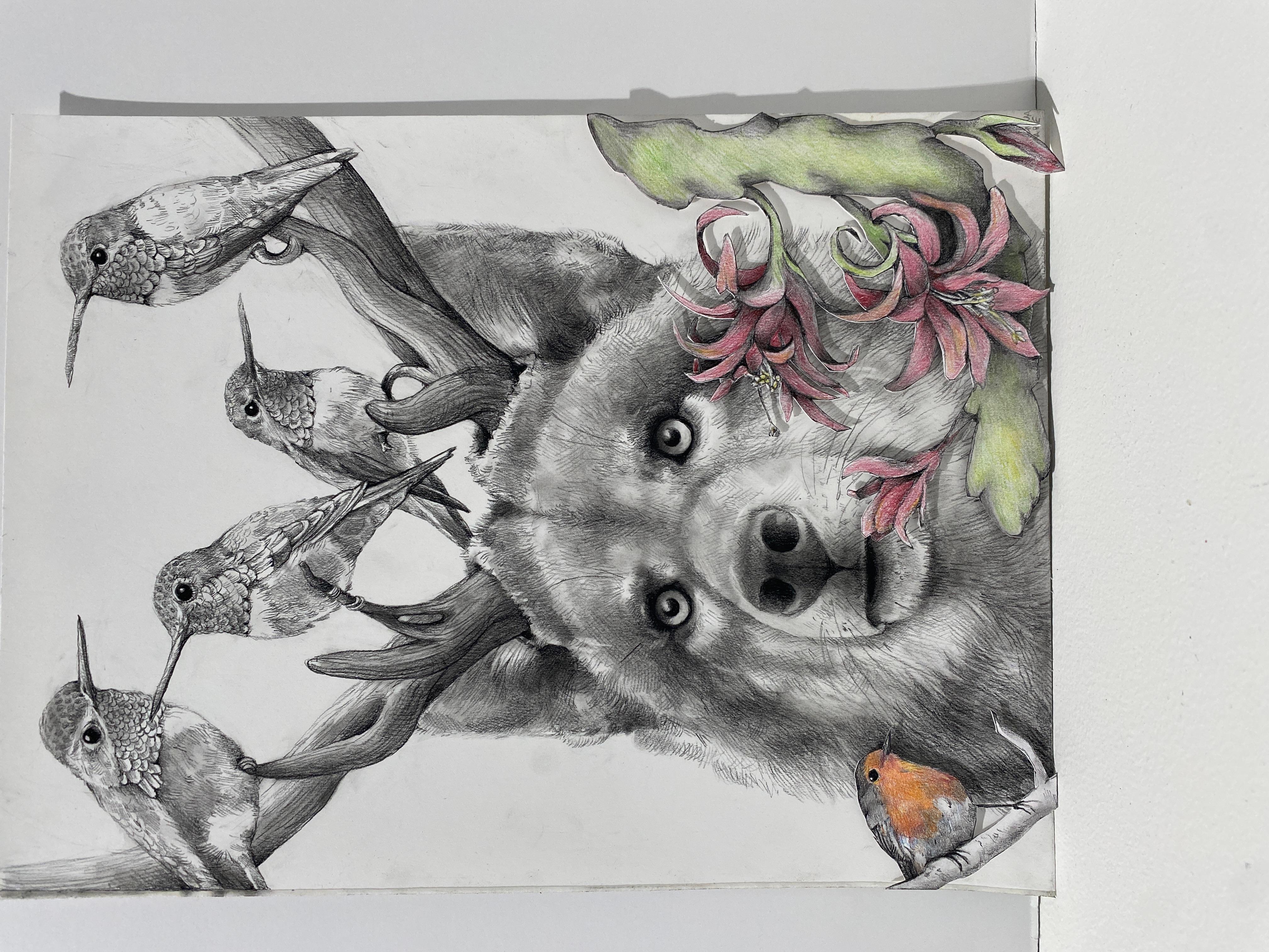 Lobo con colibríes - Art Contemporáneo de Adonna Khare