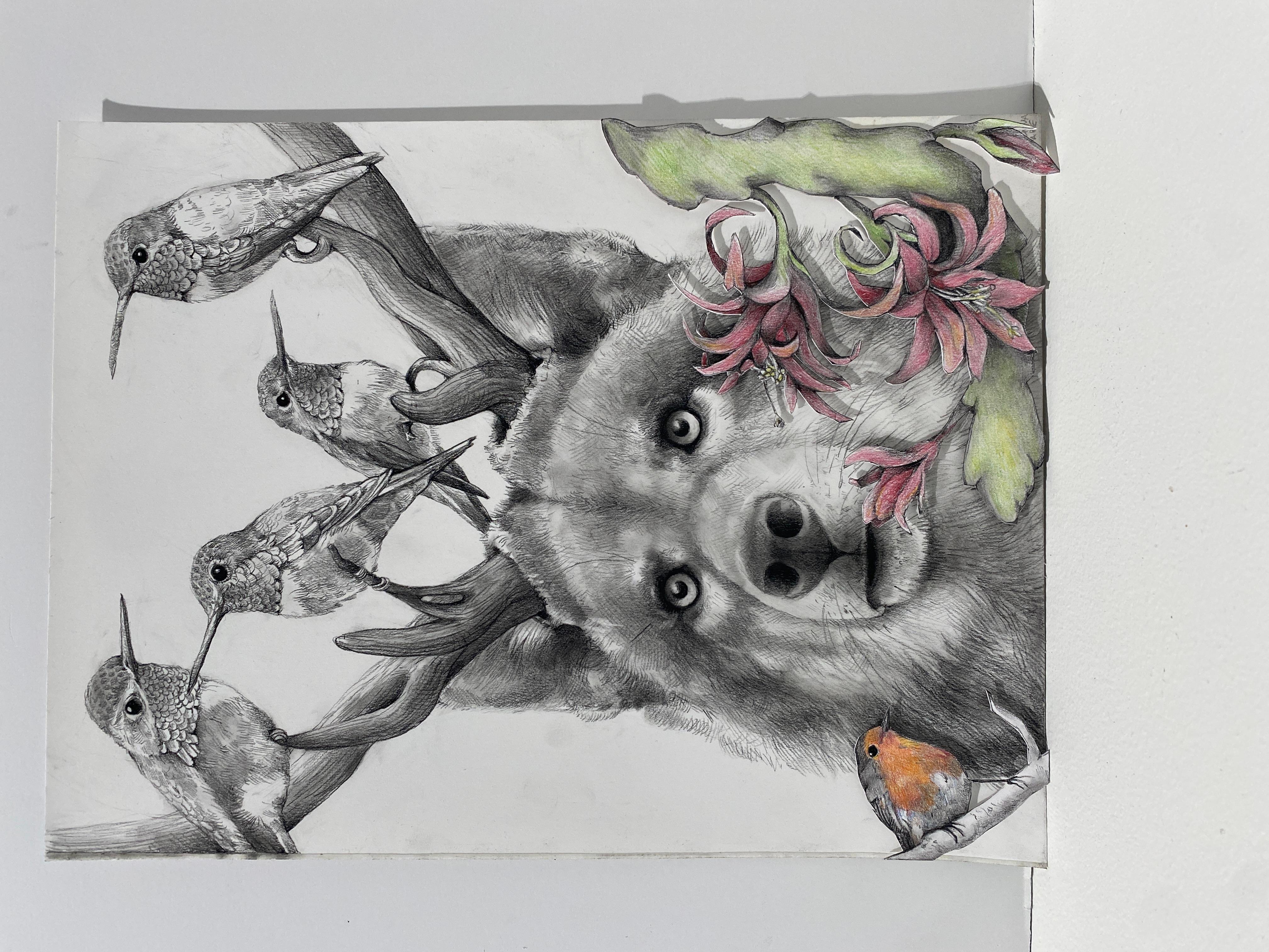 Lobo con colibríes - Art de Adonna Khare