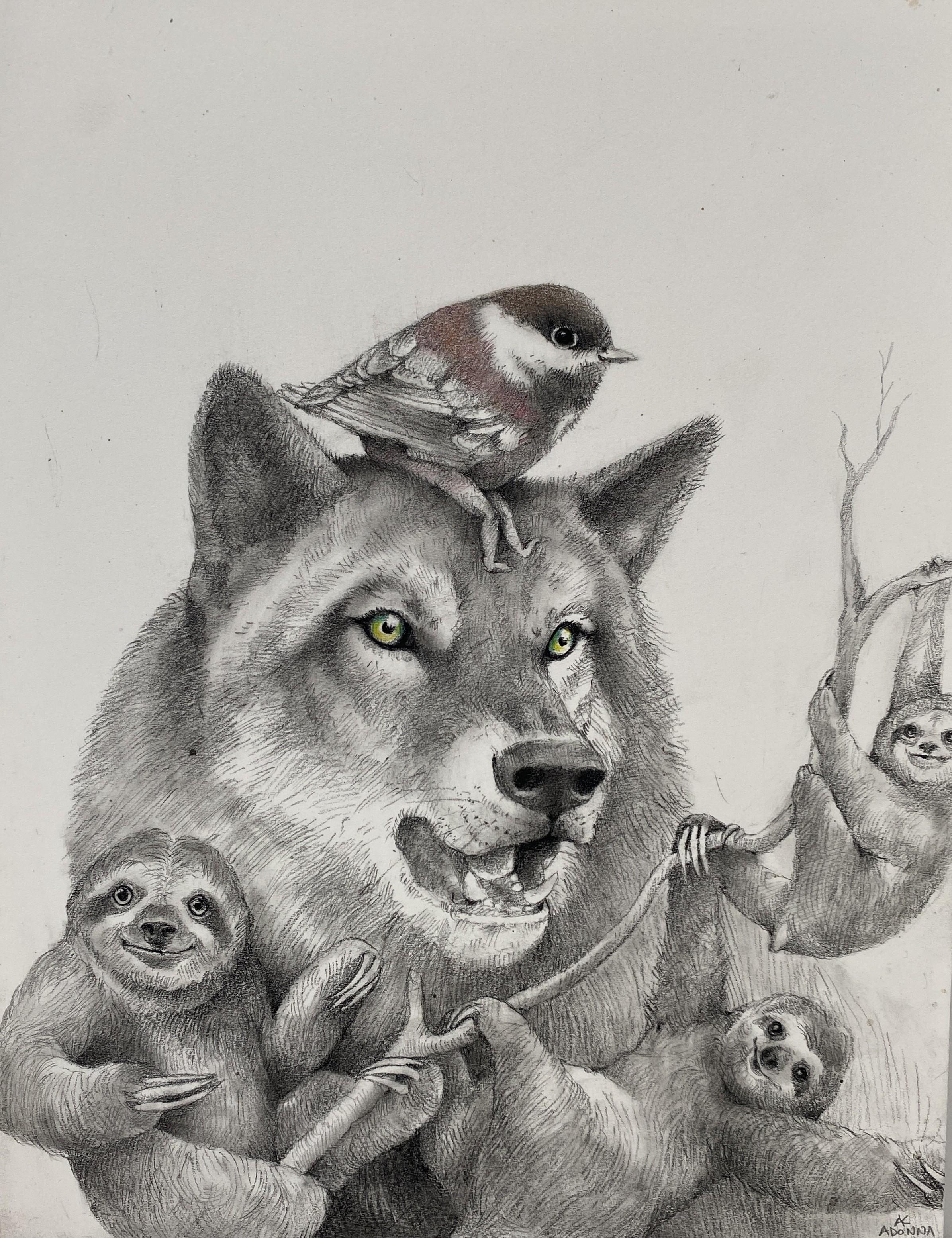 Wolf and Sloths