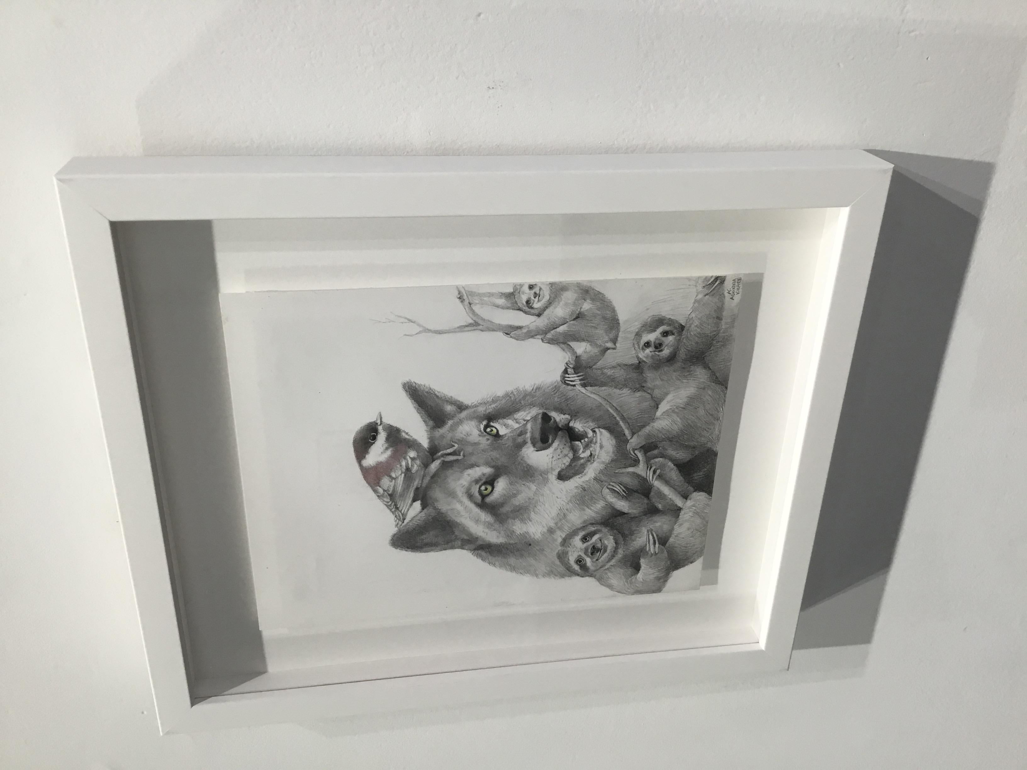 Loup et paresseux en vente 4