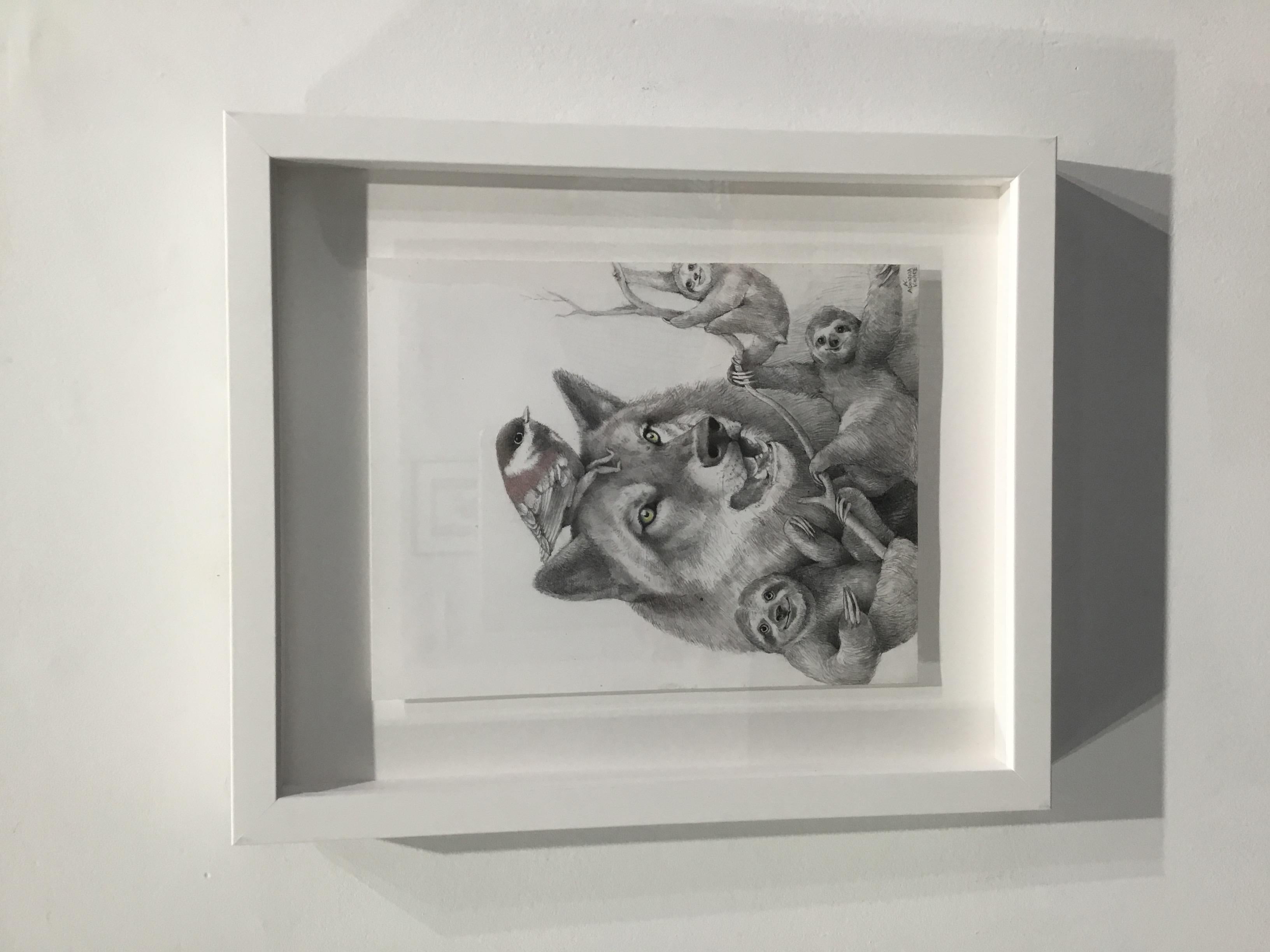Loup et paresseux en vente 3