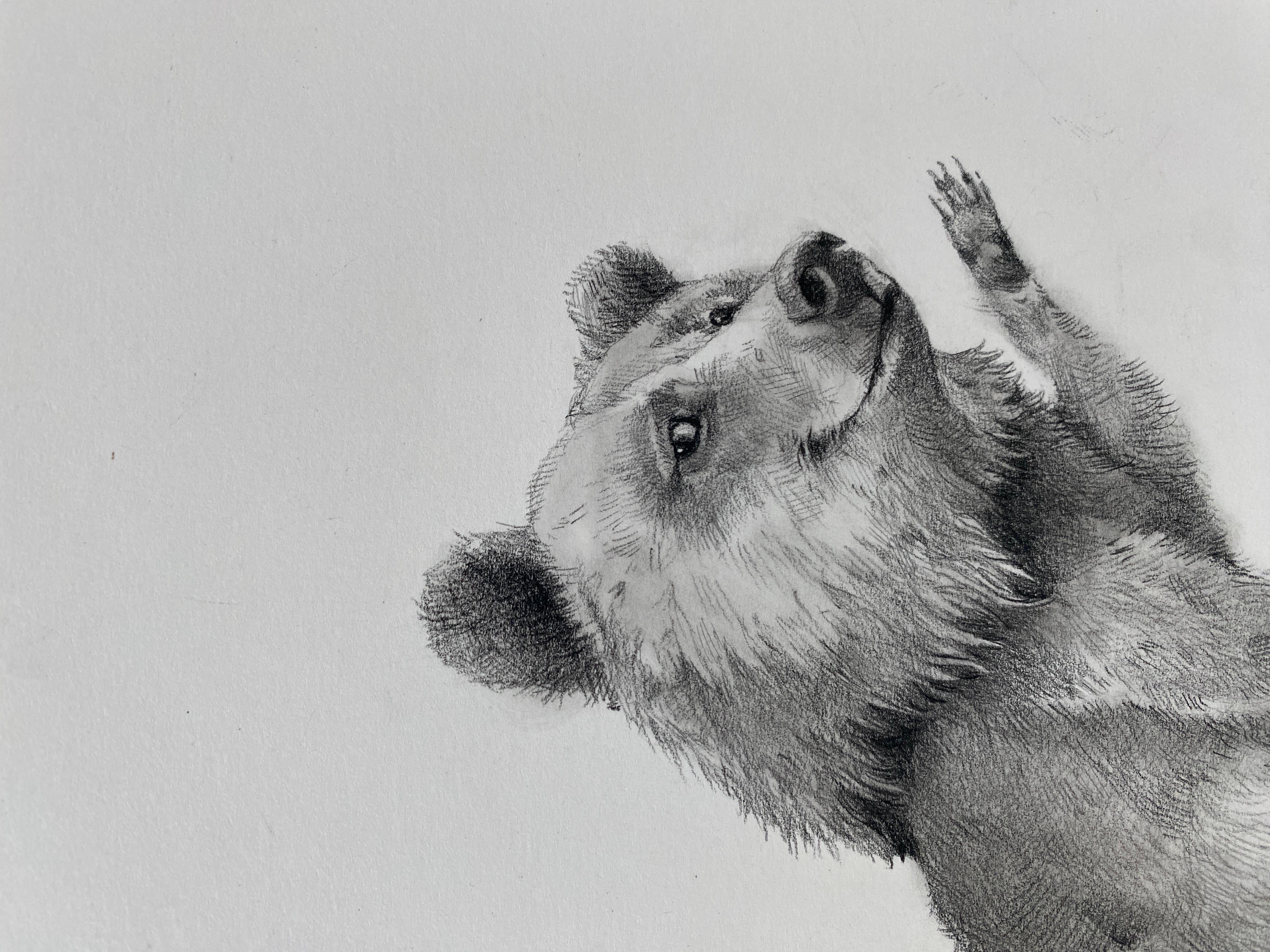 Orso ondeggiante - Art Contemporaneo di Adonna Khare