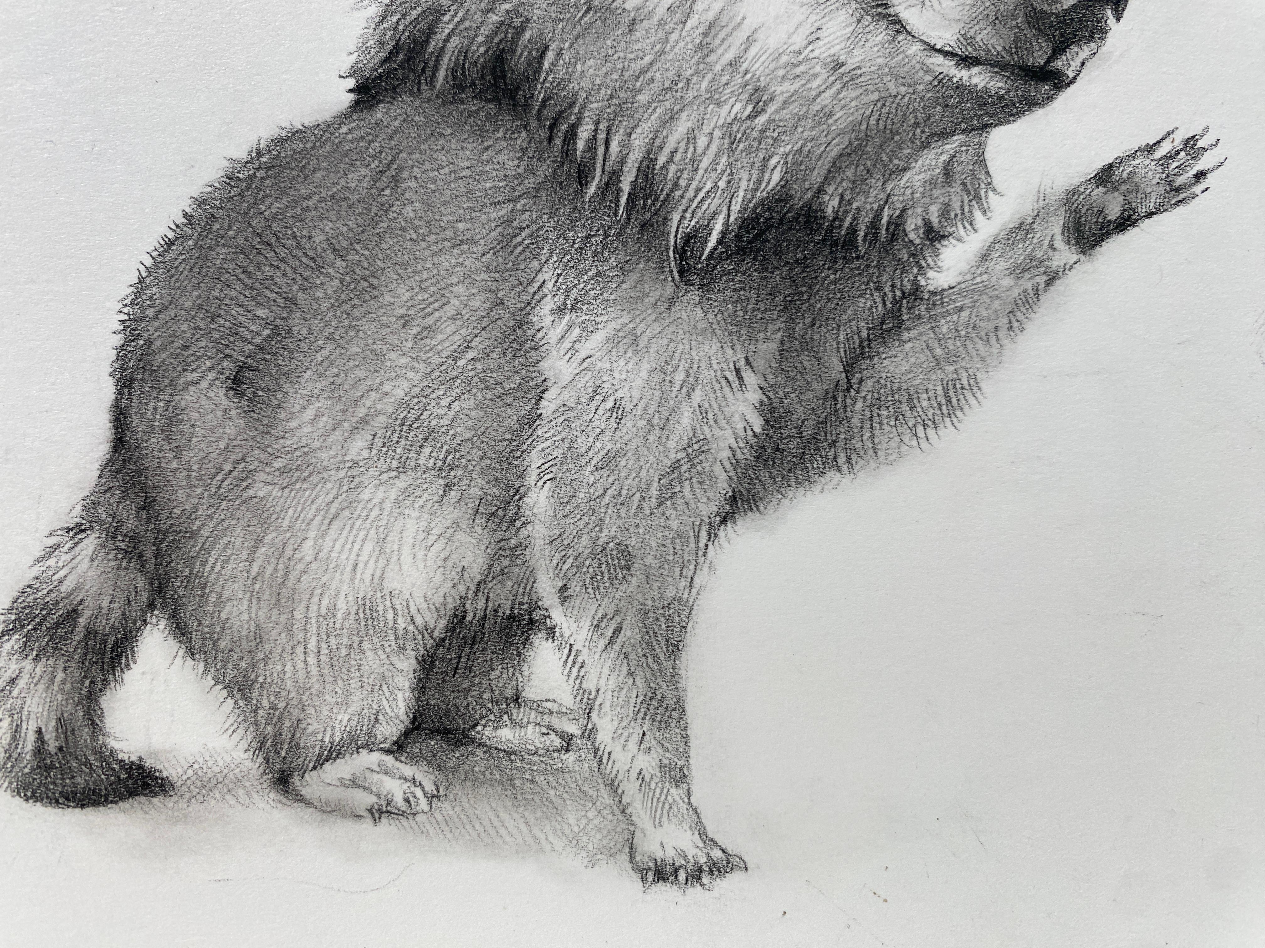 Orso ondeggiante - Art di Adonna Khare