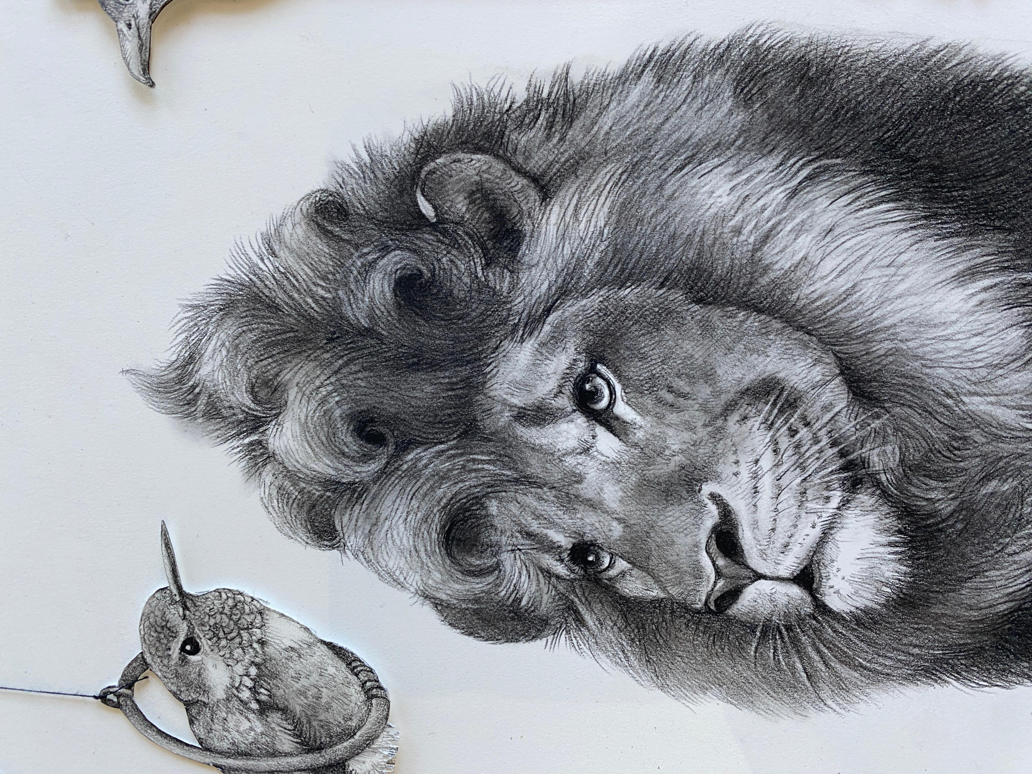 The Lion For Sale 1