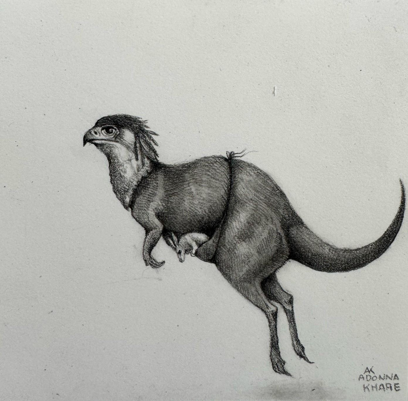 Square Animal Drawings and Watercolors