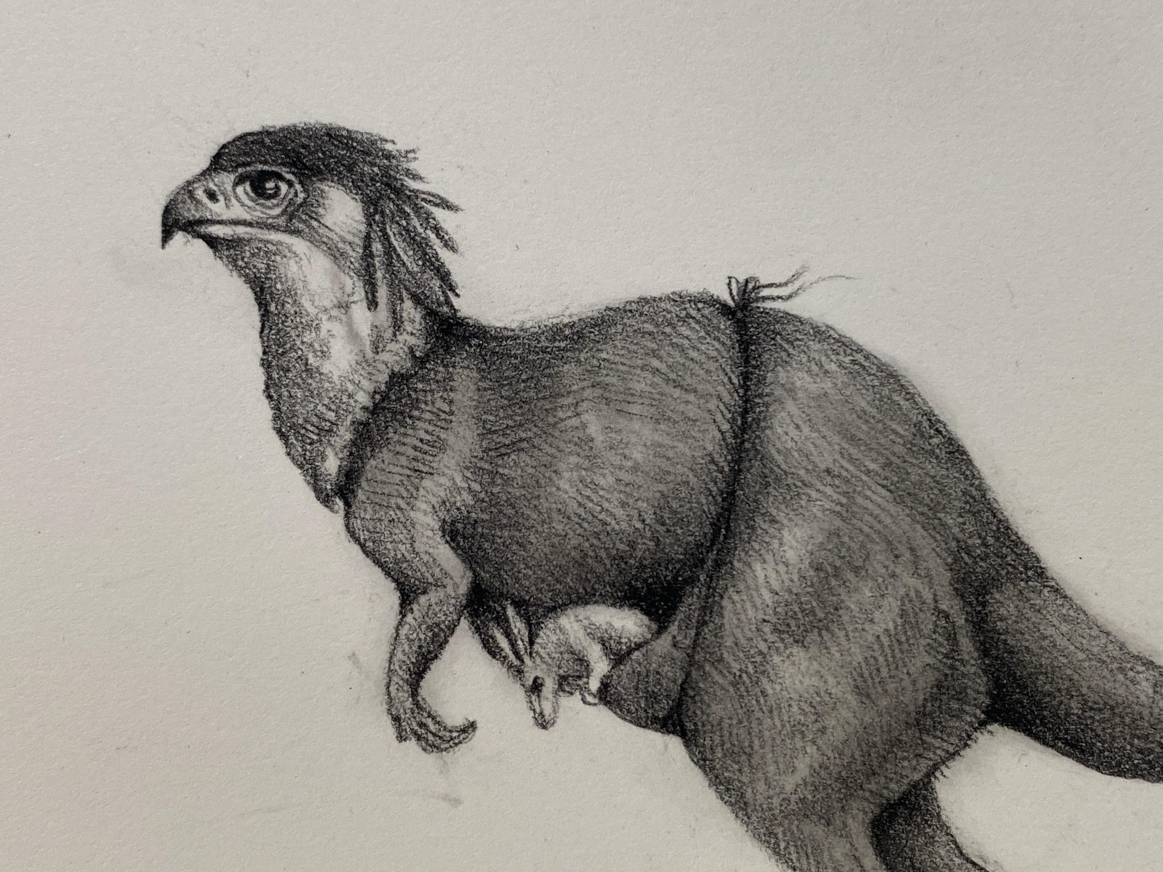 El canguro - Art de Adonna Khare