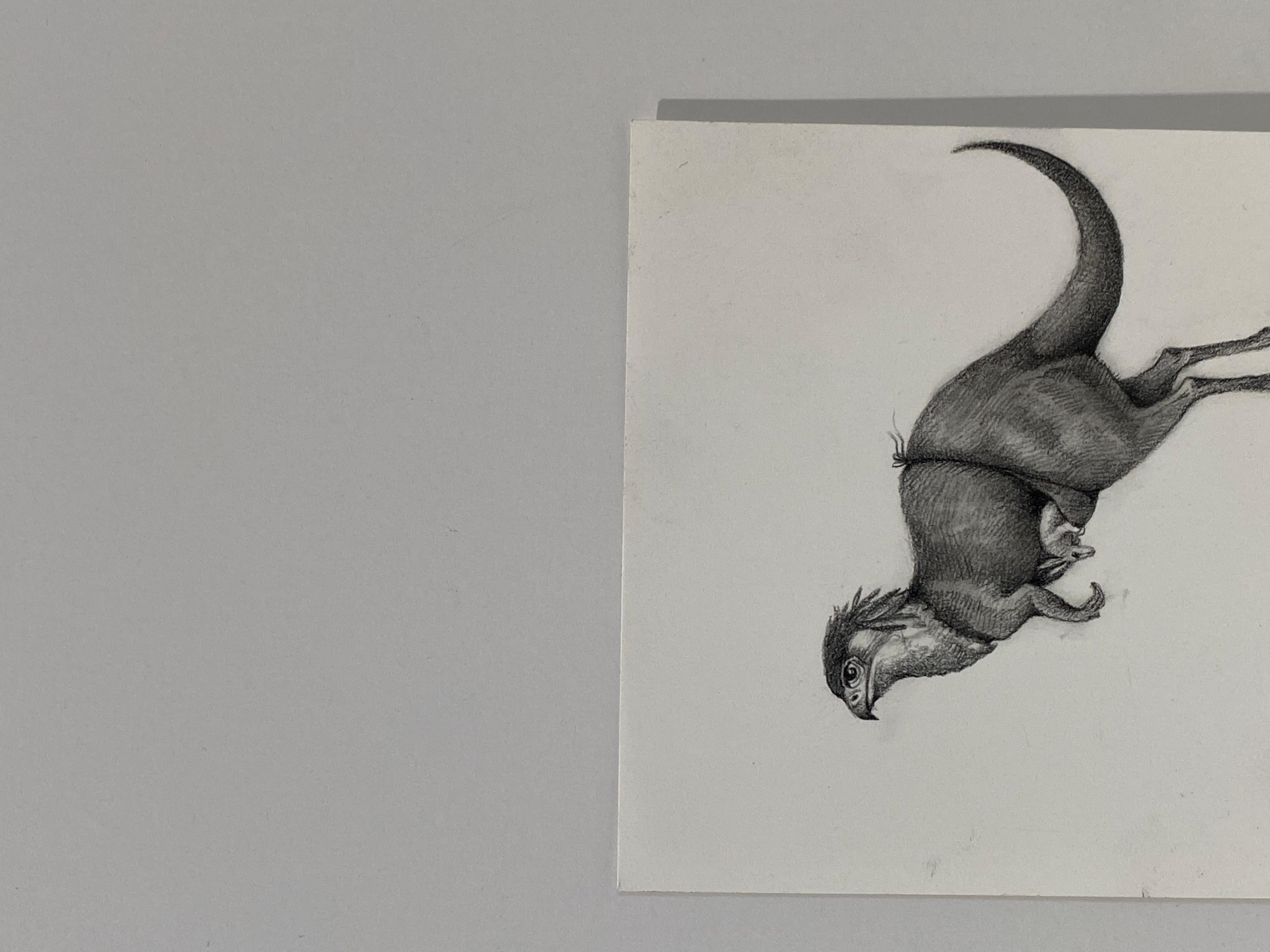 El canguro - Animal Art Gris de Adonna Khare