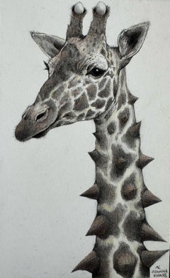 The Giraffe