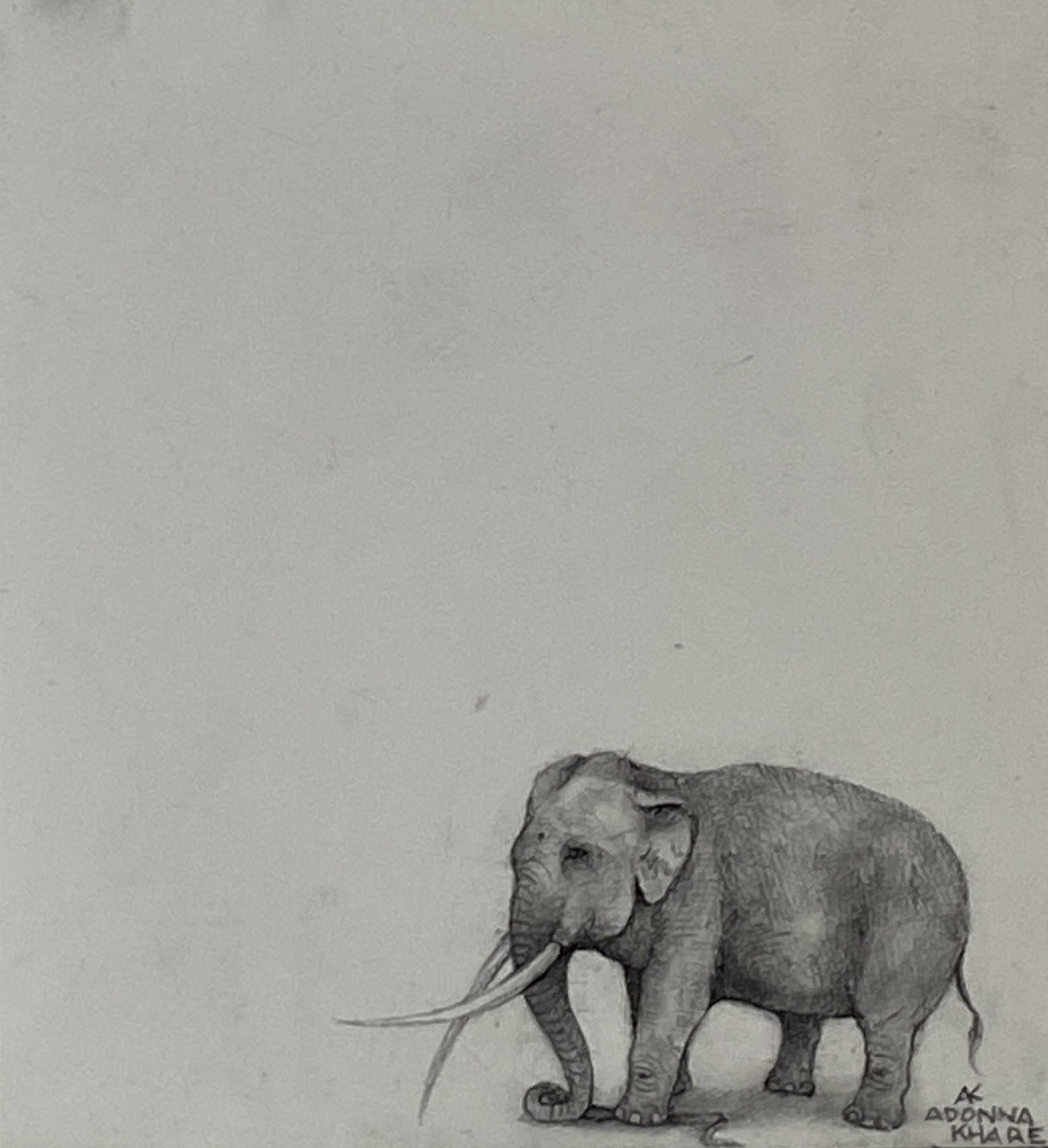 Piccolo elefante
